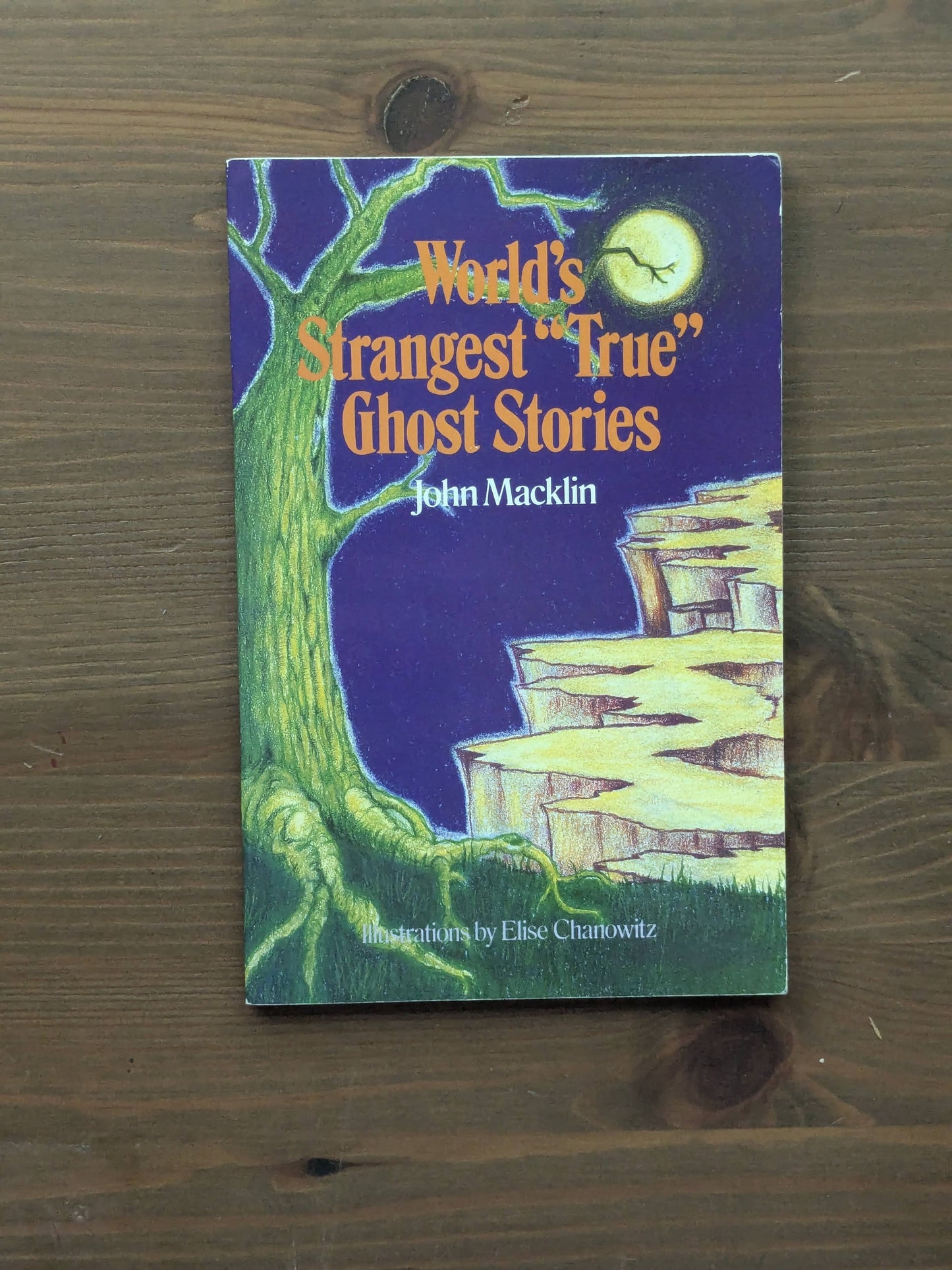 World's Strangest True Ghost Stories (Vintage Paperback) by John Macklin