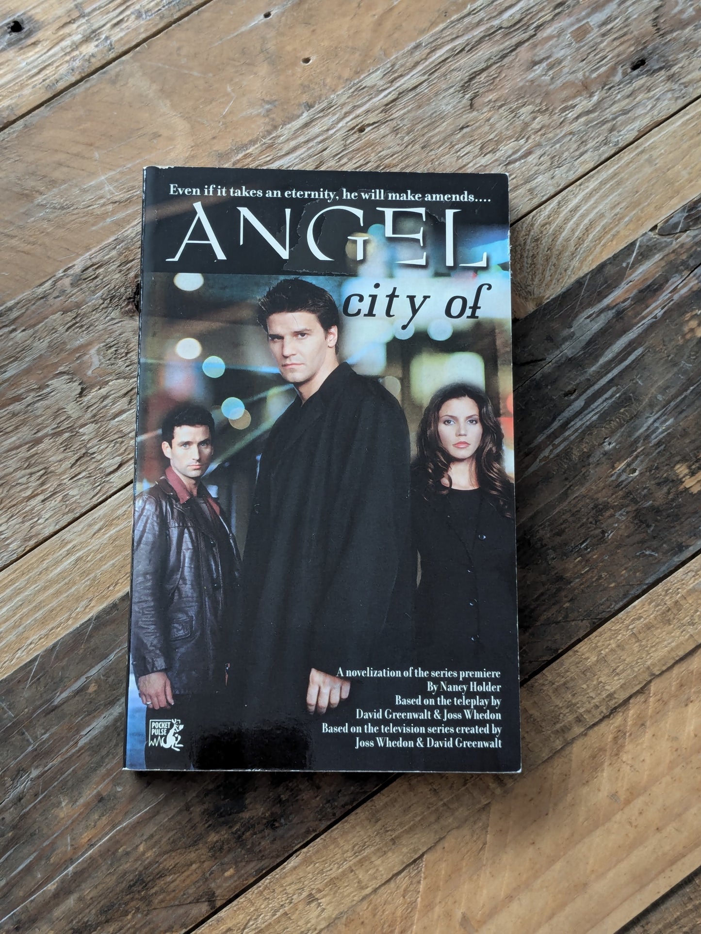 Angel: City of (Buffyverse Novels #44) by Nancy Holder - Vintage Paperback