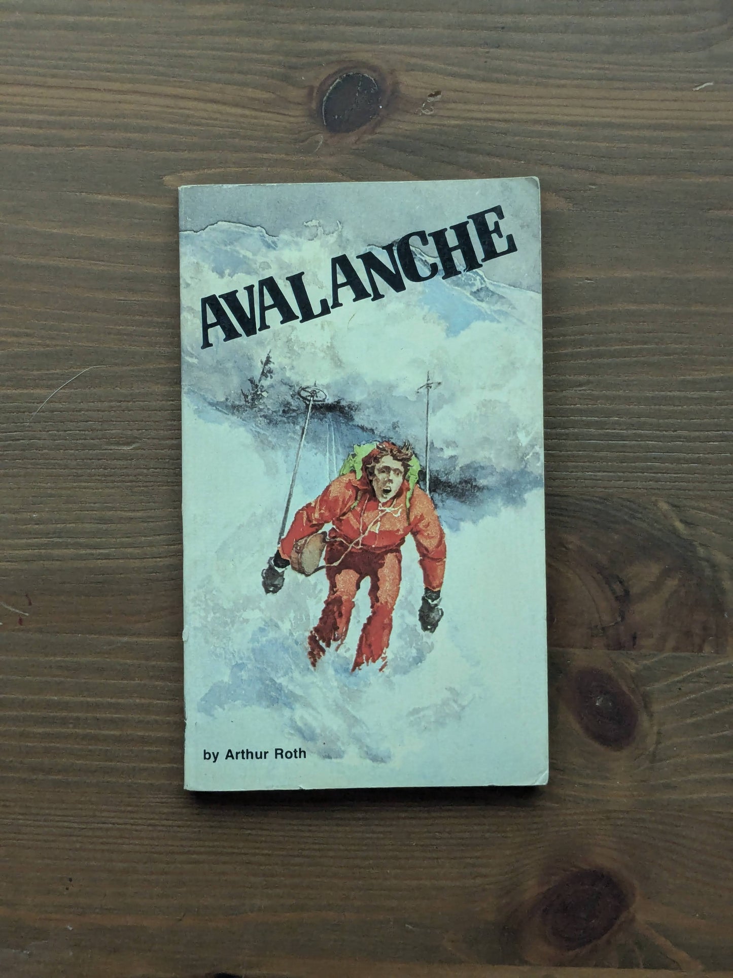 Avalanche (Vintage Paperback) by Arthur J. Roth