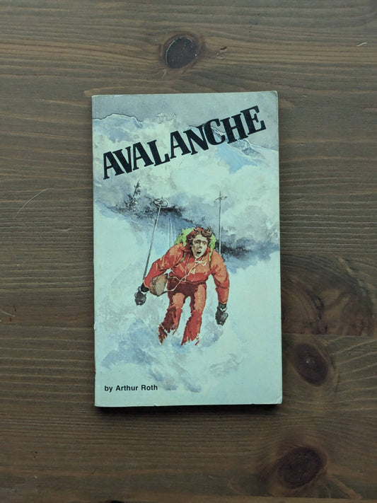 Avalanche (Vintage Paperback) by Arthur J. Roth