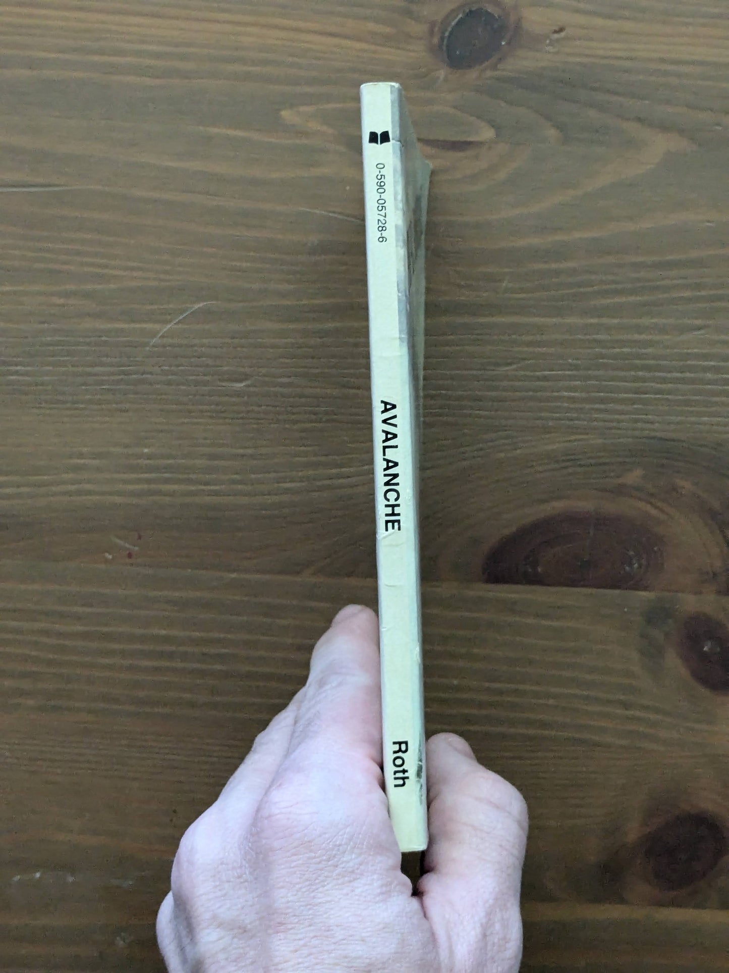 Avalanche (Vintage Paperback) by Arthur J. Roth