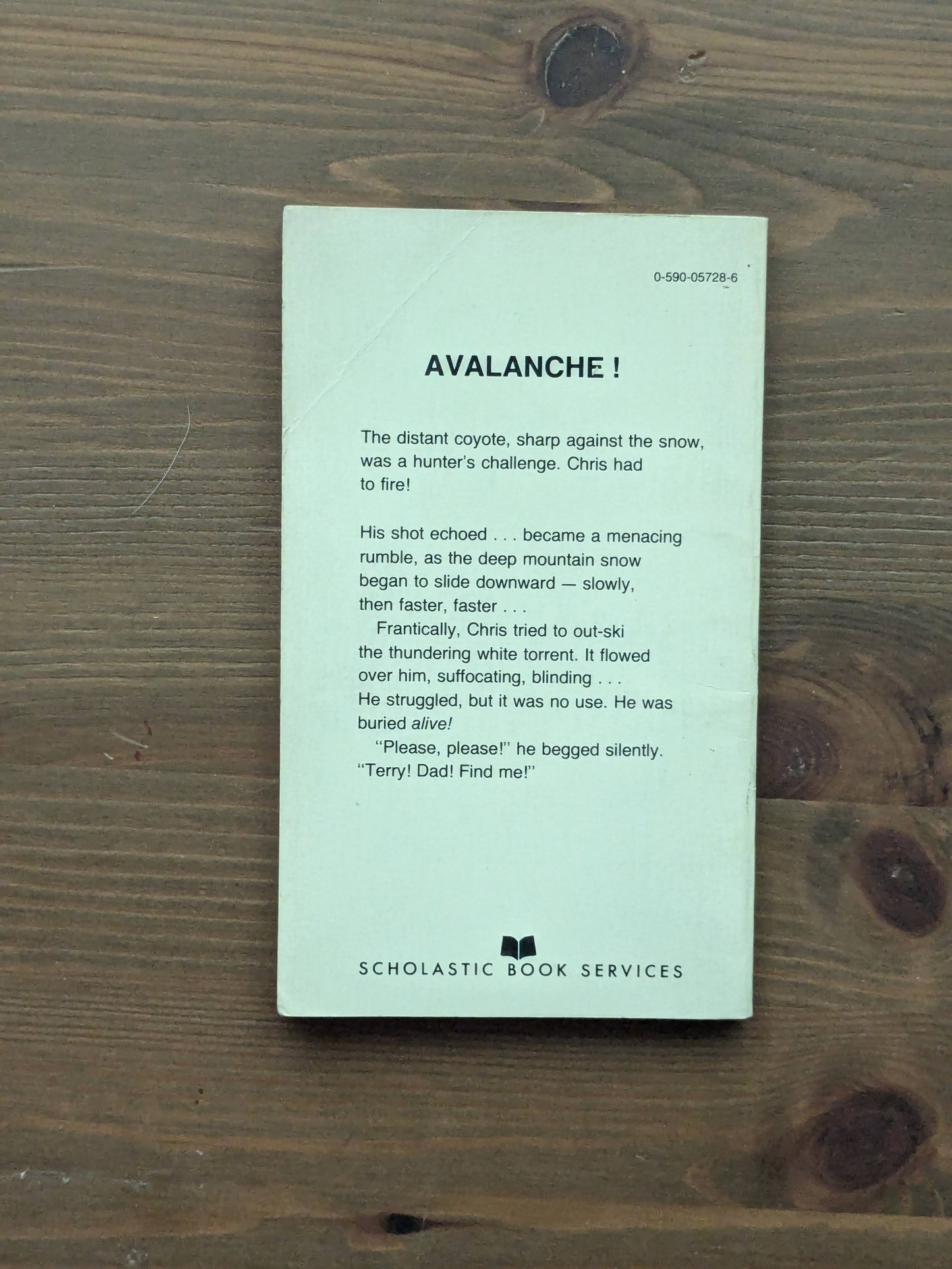 Avalanche (Vintage Paperback) by Arthur J. Roth