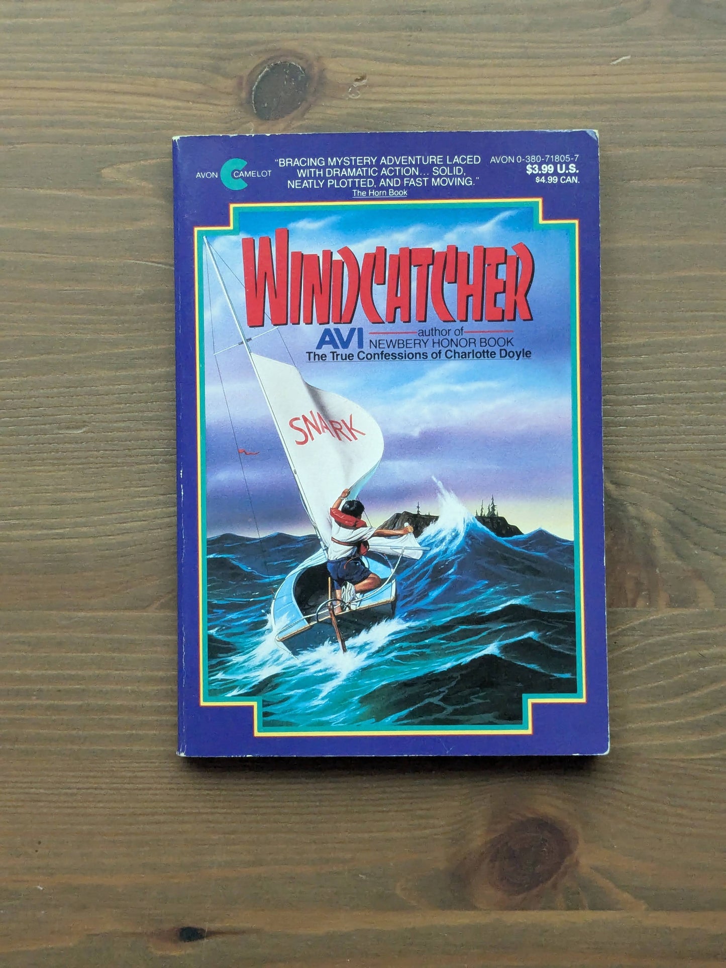 Windcatcher (Vintage Paperback) by Avi