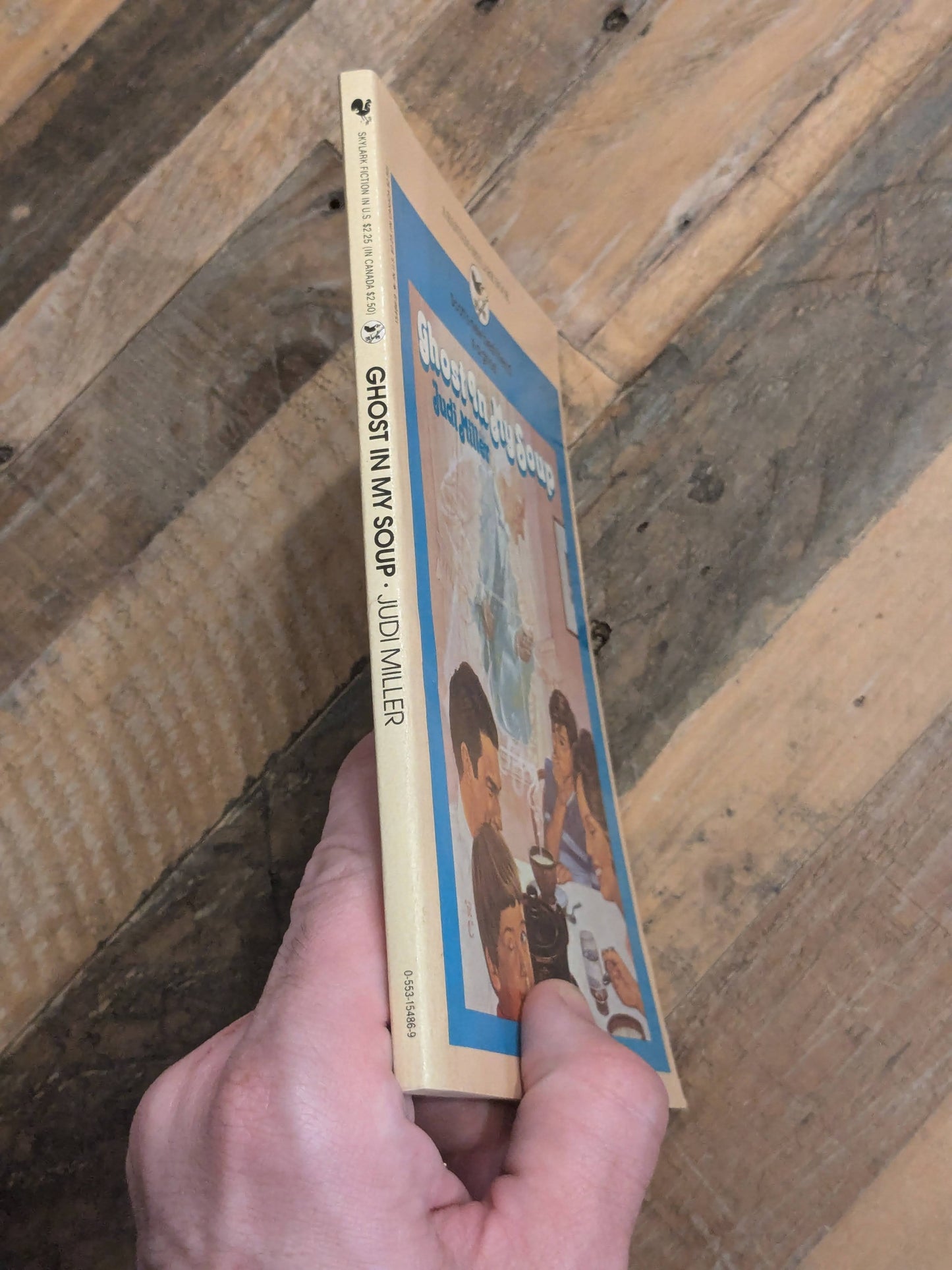 Ghost in My Soup (Vintage Paperback) by Judi Miller