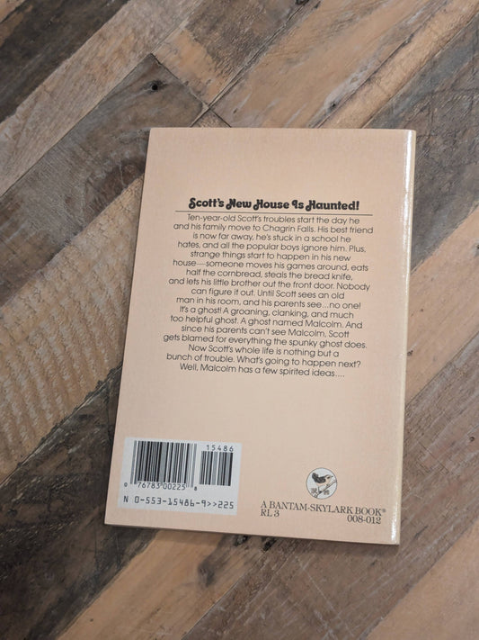 Ghost in My Soup (Vintage Paperback) by Judi Miller