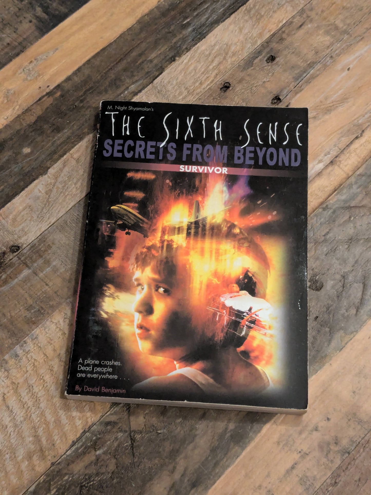 Survivor (The Sixth Sense: Secrets from Beyond #1) by David Levithan - Vintage Paperback