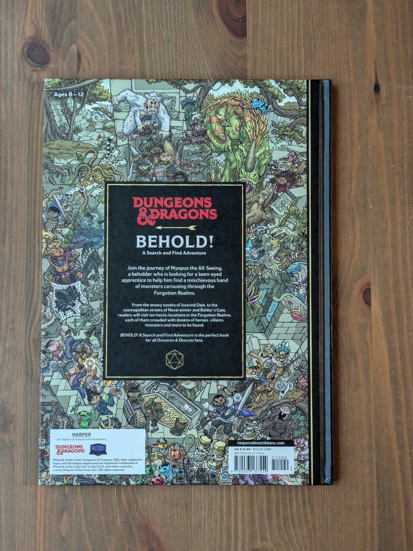 Dungeons & Dragons: Behold! A Search and Find Adventure (Hardcover)