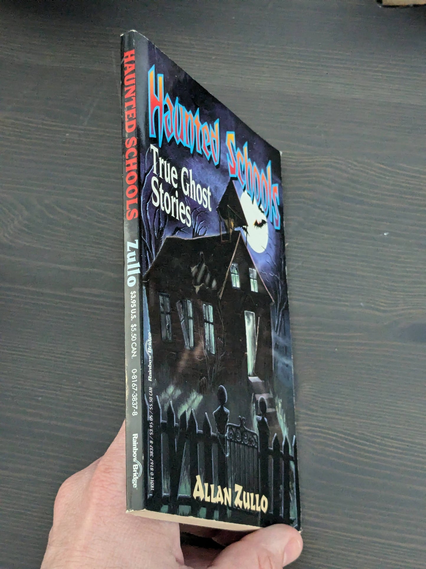 Haunted Schools (Vintage Paperback) by Allan Zullo