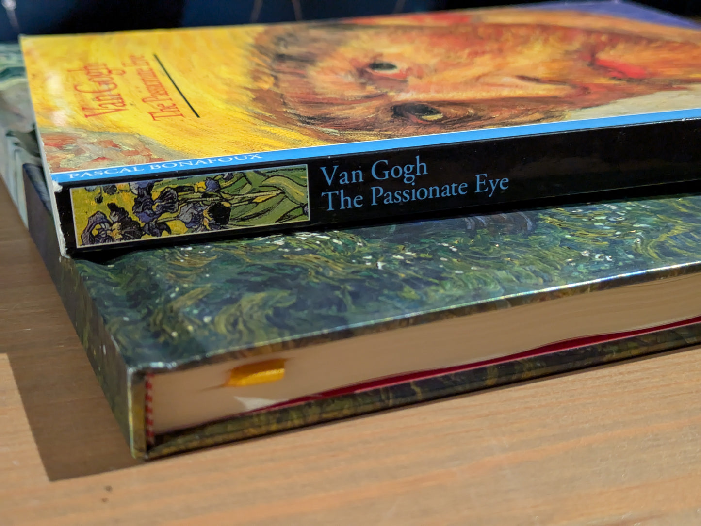 Van Gogh Gift Set (The Passionate Eye & Lined Journal)