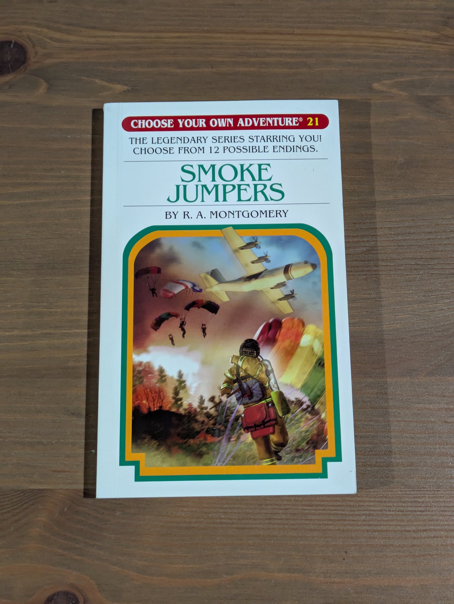 Smoke Jumpers (Choose Your Own Adventure #21) by R.A. Montgomery