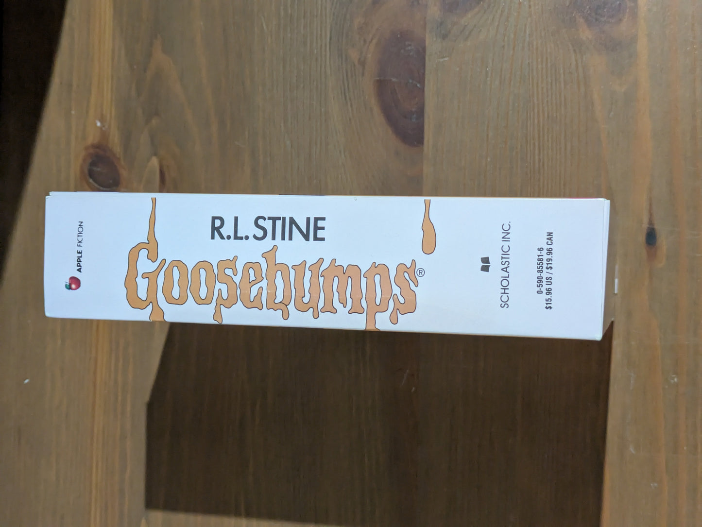 Goosebumps Box Set #41-44 by R.L. Stine (Bad Hare Day, Egg Monsters from Mars, Beast from the East, Say Cheese & Die Again)