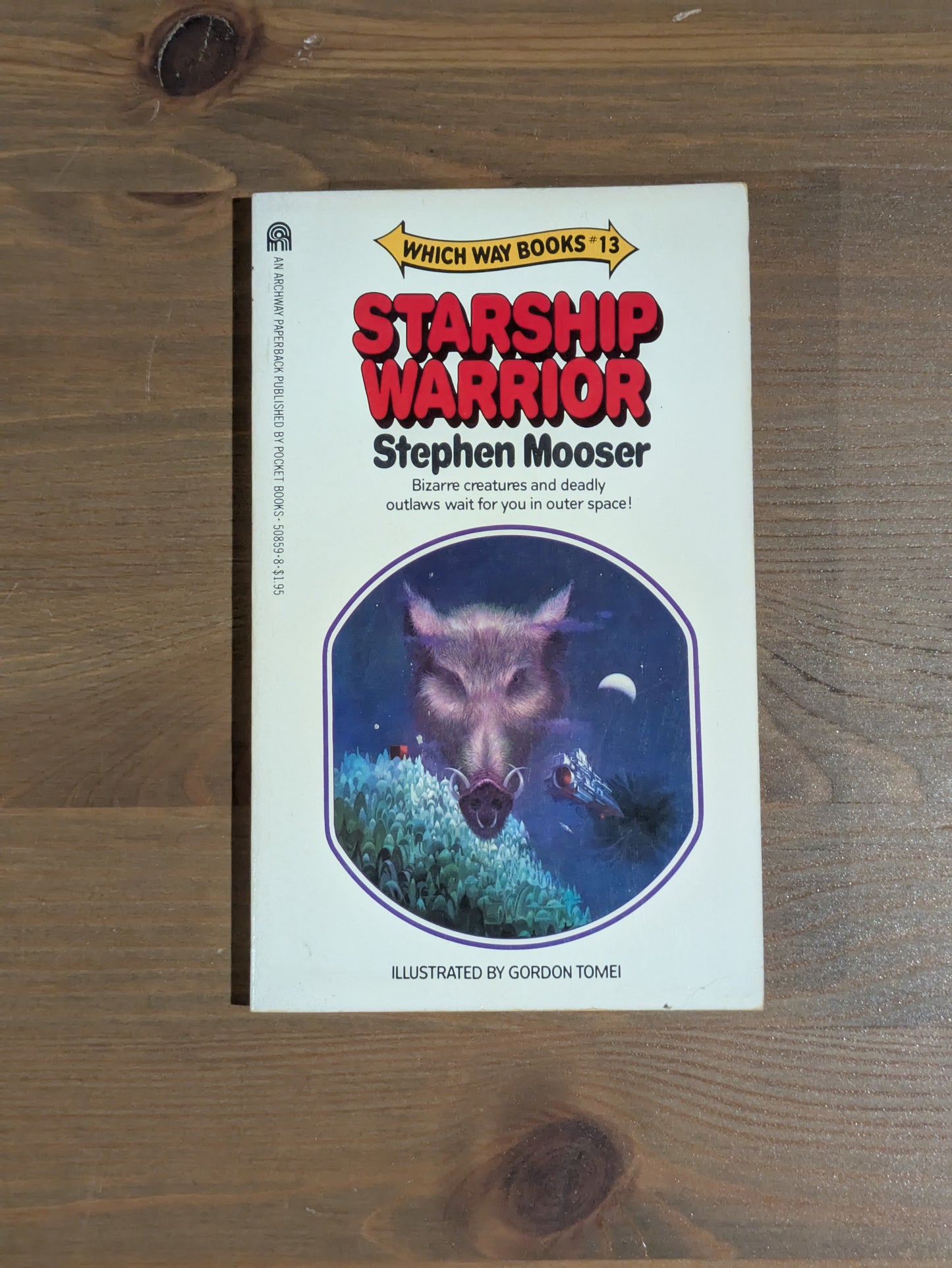 Starship Warrior (Which Way #13) by Stephen Mooser