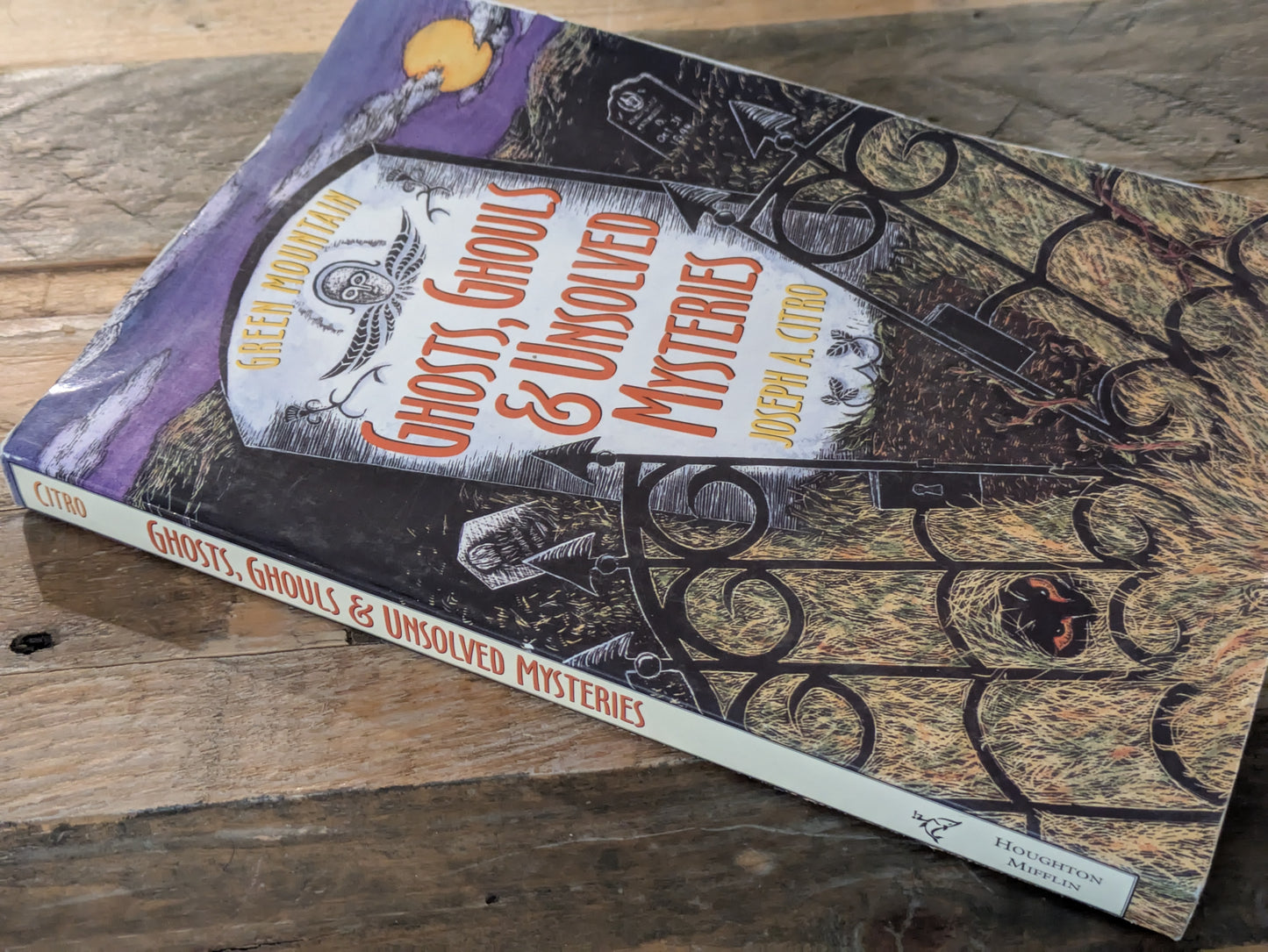 Green Mountain Ghosts, Ghouls & Unsolved Mysteries (Vintage Paperback) by Joseph A. Citro, Bonnie Christensen (Illustrator)