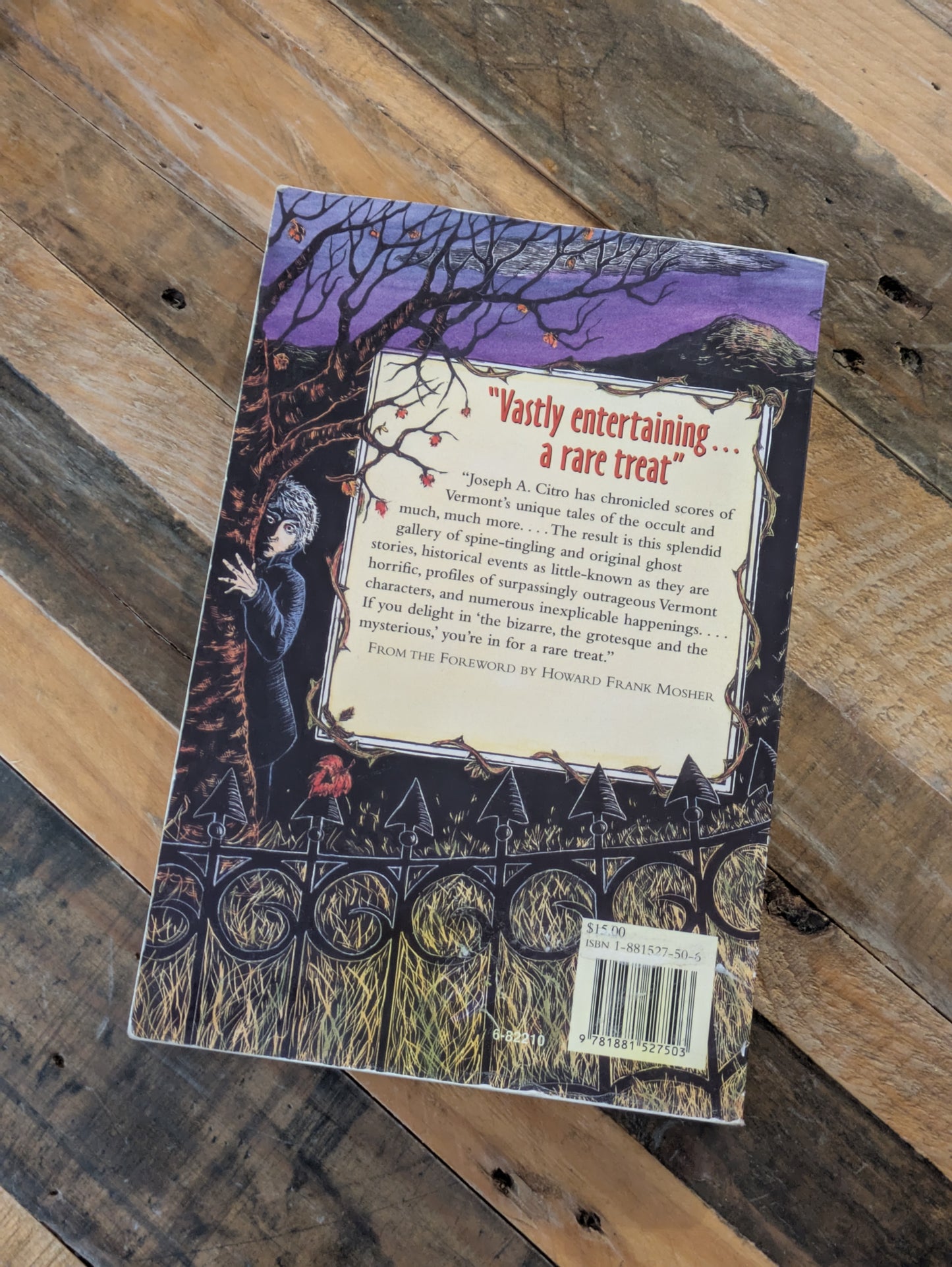 Green Mountain Ghosts, Ghouls & Unsolved Mysteries (Vintage Paperback) by Joseph A. Citro, Bonnie Christensen (Illustrator)