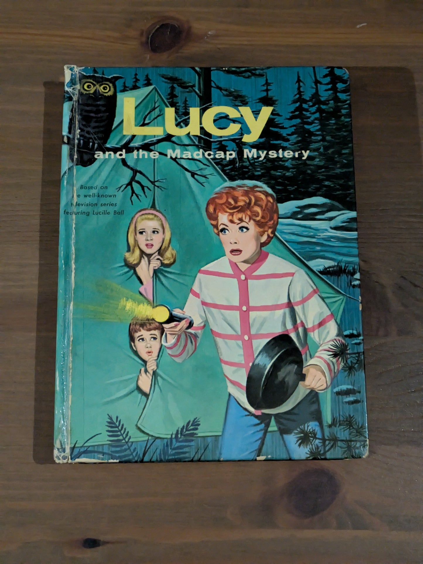 Lucy and the Madcap Mystery (Vintage Hardcover) by Cole Fannin