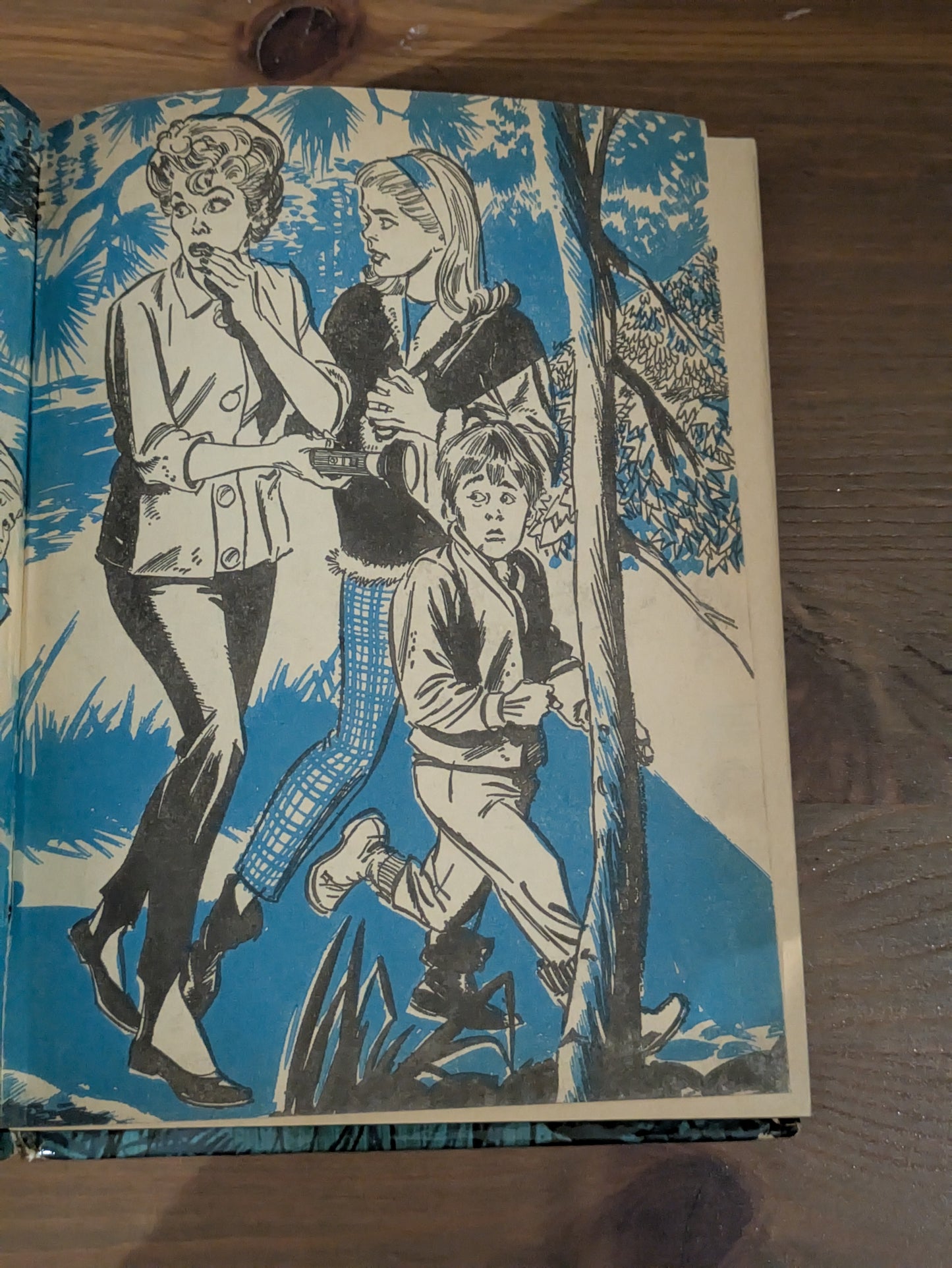 Lucy and the Madcap Mystery (Vintage Hardcover) by Cole Fannin