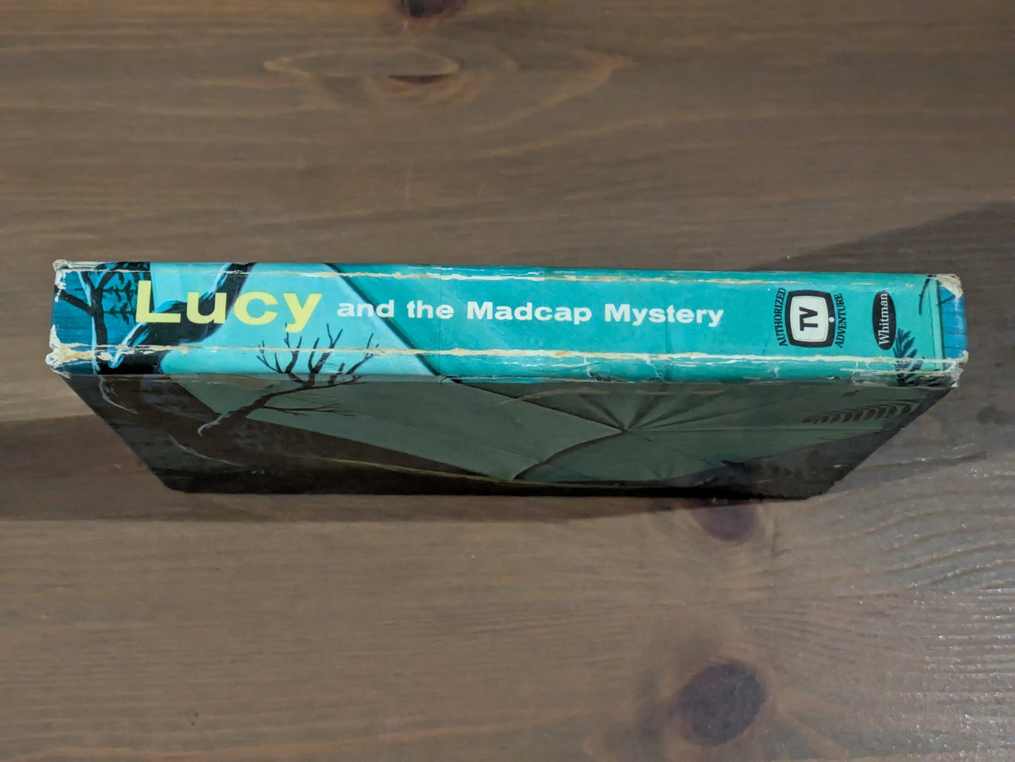Lucy and the Madcap Mystery (Vintage Hardcover) by Cole Fannin