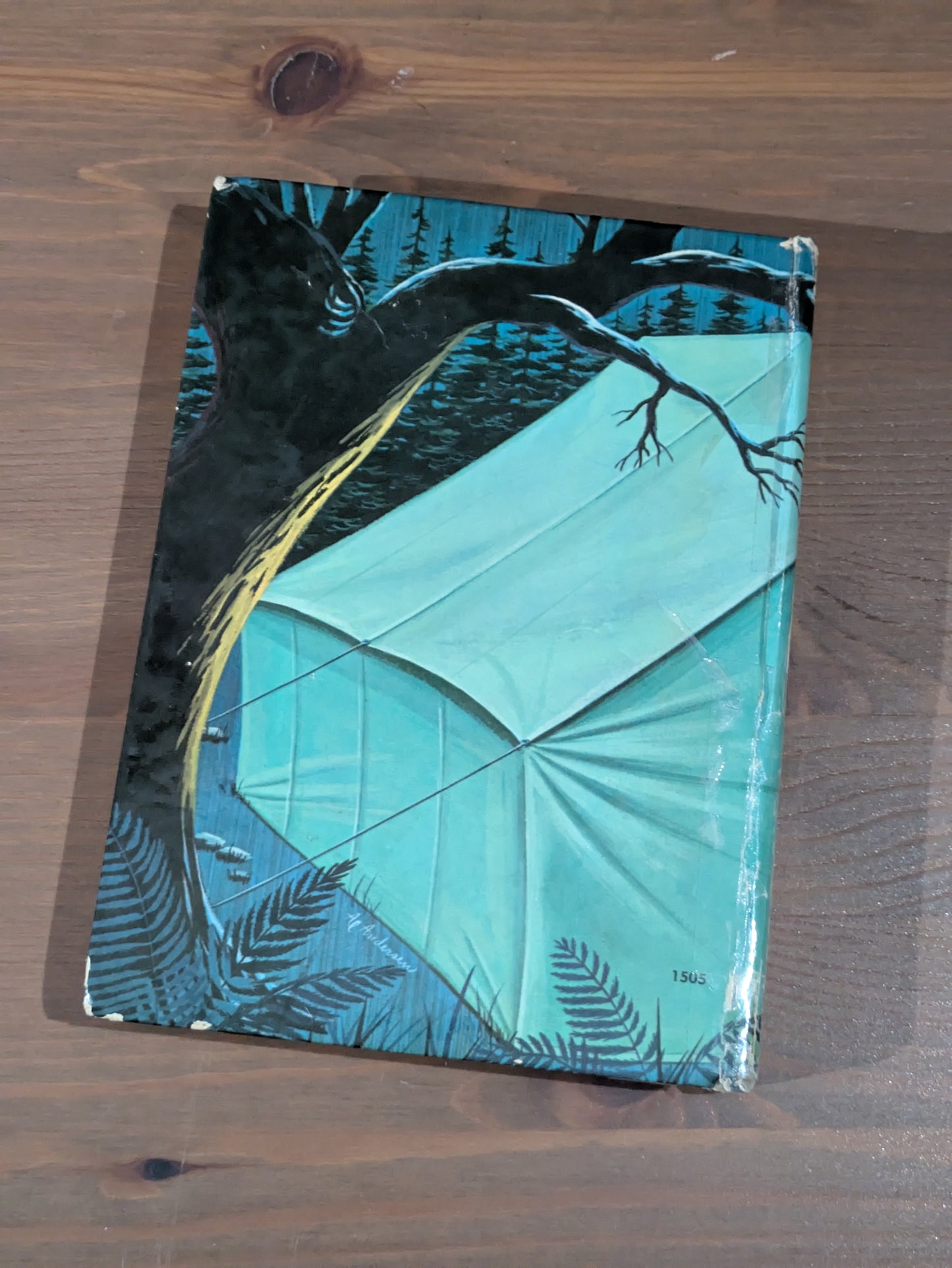 Lucy and the Madcap Mystery (Vintage Hardcover) by Cole Fannin