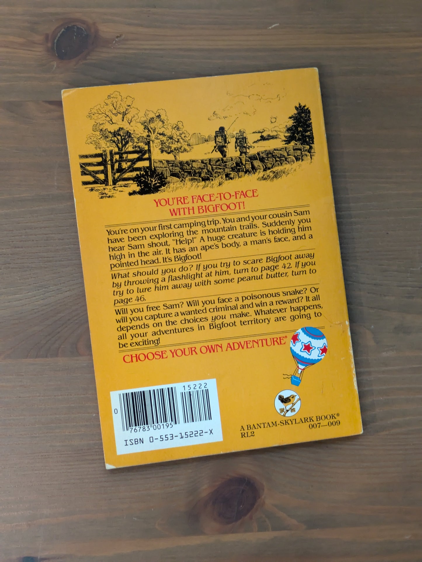 Bigfoot Mystery, The (Choose Your Own Adventure: Young Readers #11) by Lynn Sonberg