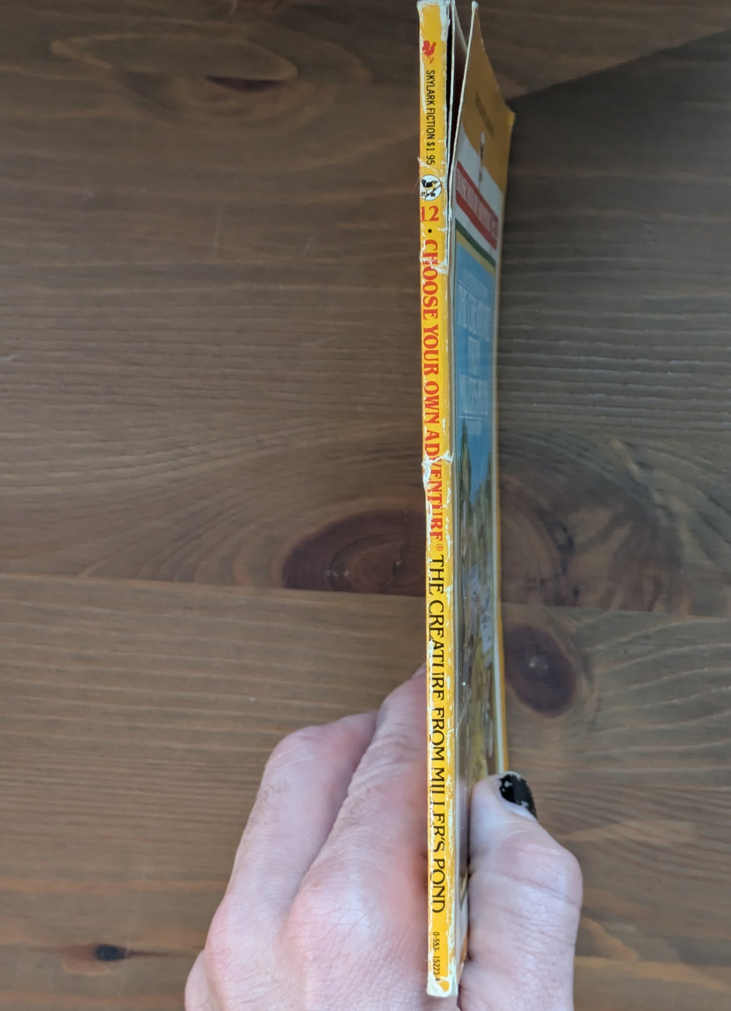 Creature from Miller's Pond (Choose Your Own Adventure: Young Readers #12) by Susan Saunders, Ted Enik  (Illustrator)