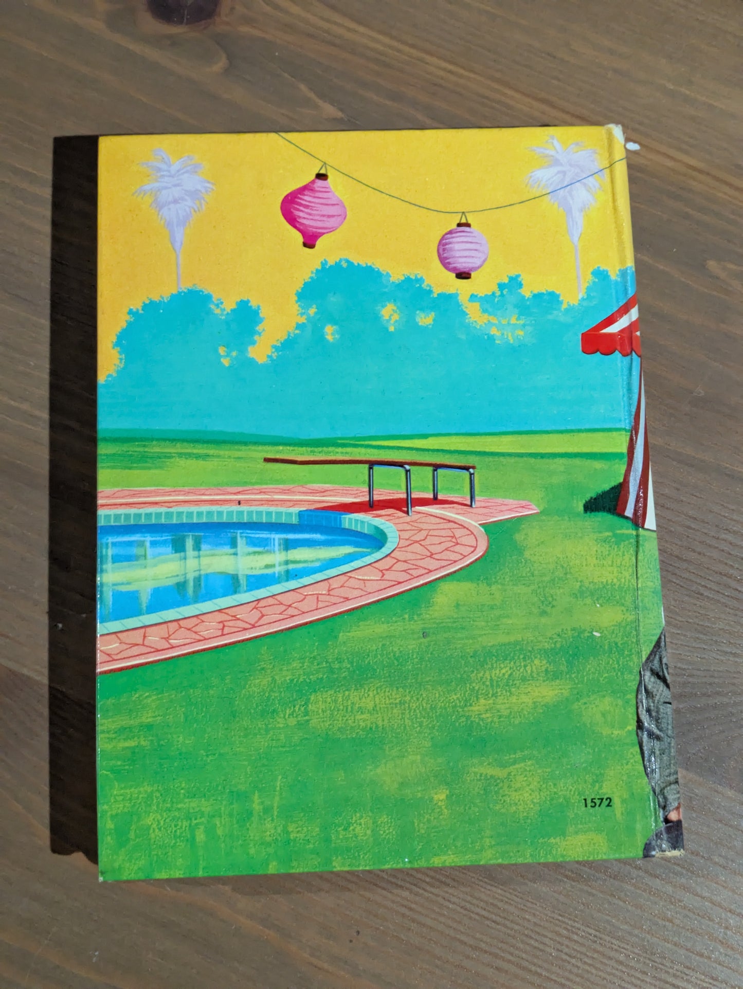 Saga of Wildcat Creek (The Beverly Hillbillies) by Doris Schroeder - Vintage Hardcover