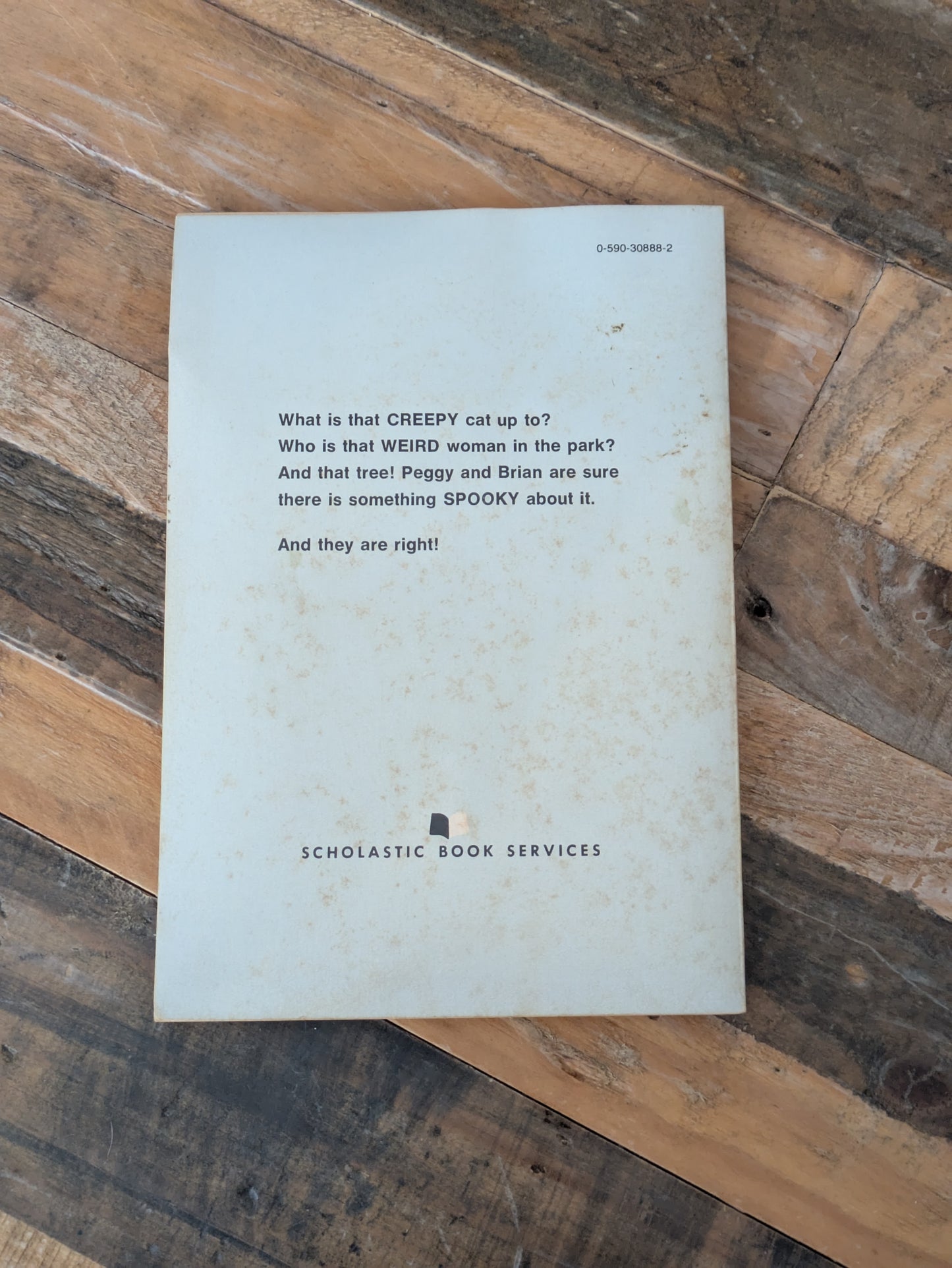 Wishing Tree, The (Vintage Paperback) by Ruth Chew