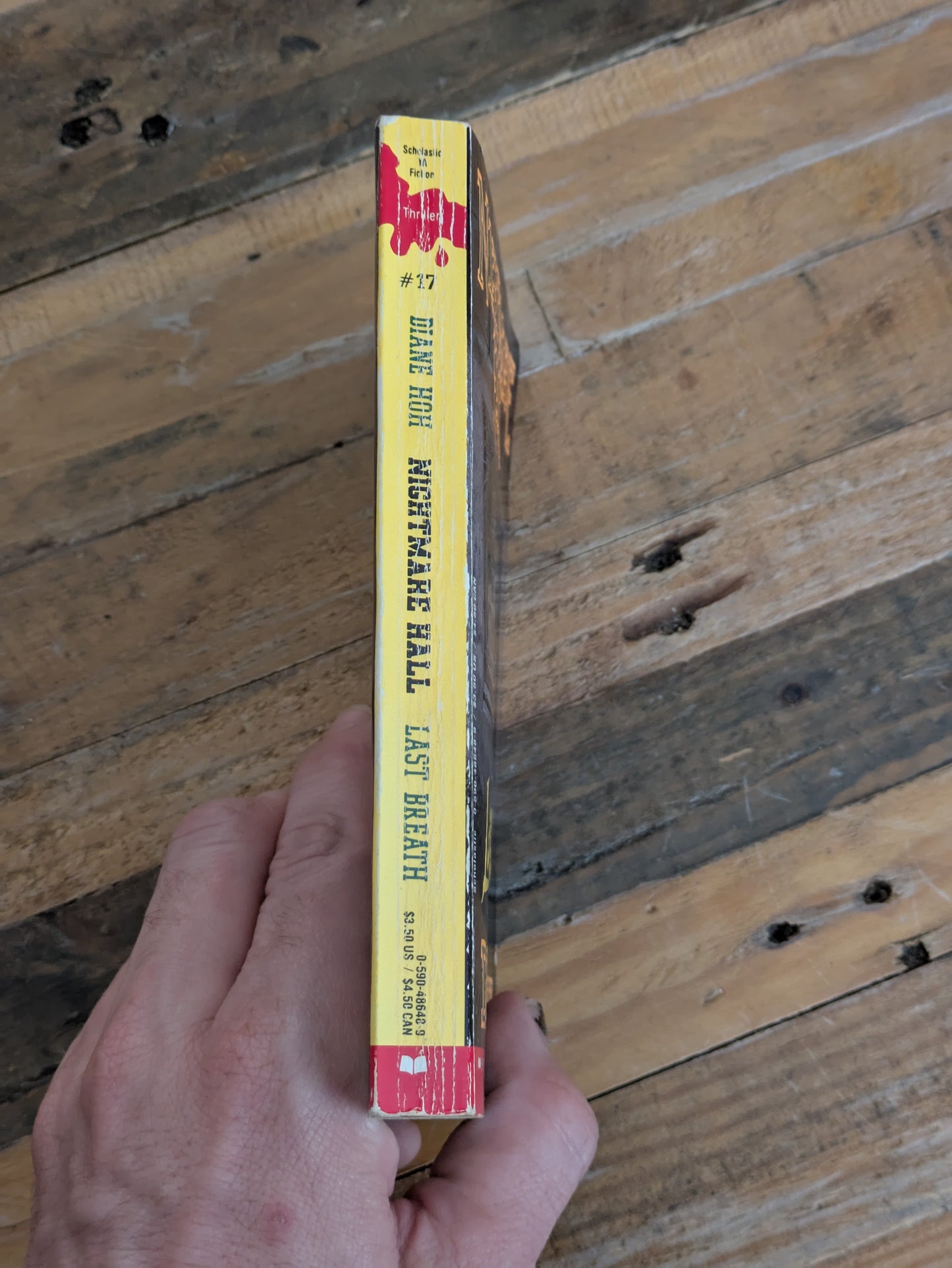 Last Breath (Nightmare Hall #17) by Diane Hoh - Vintage Paperback
