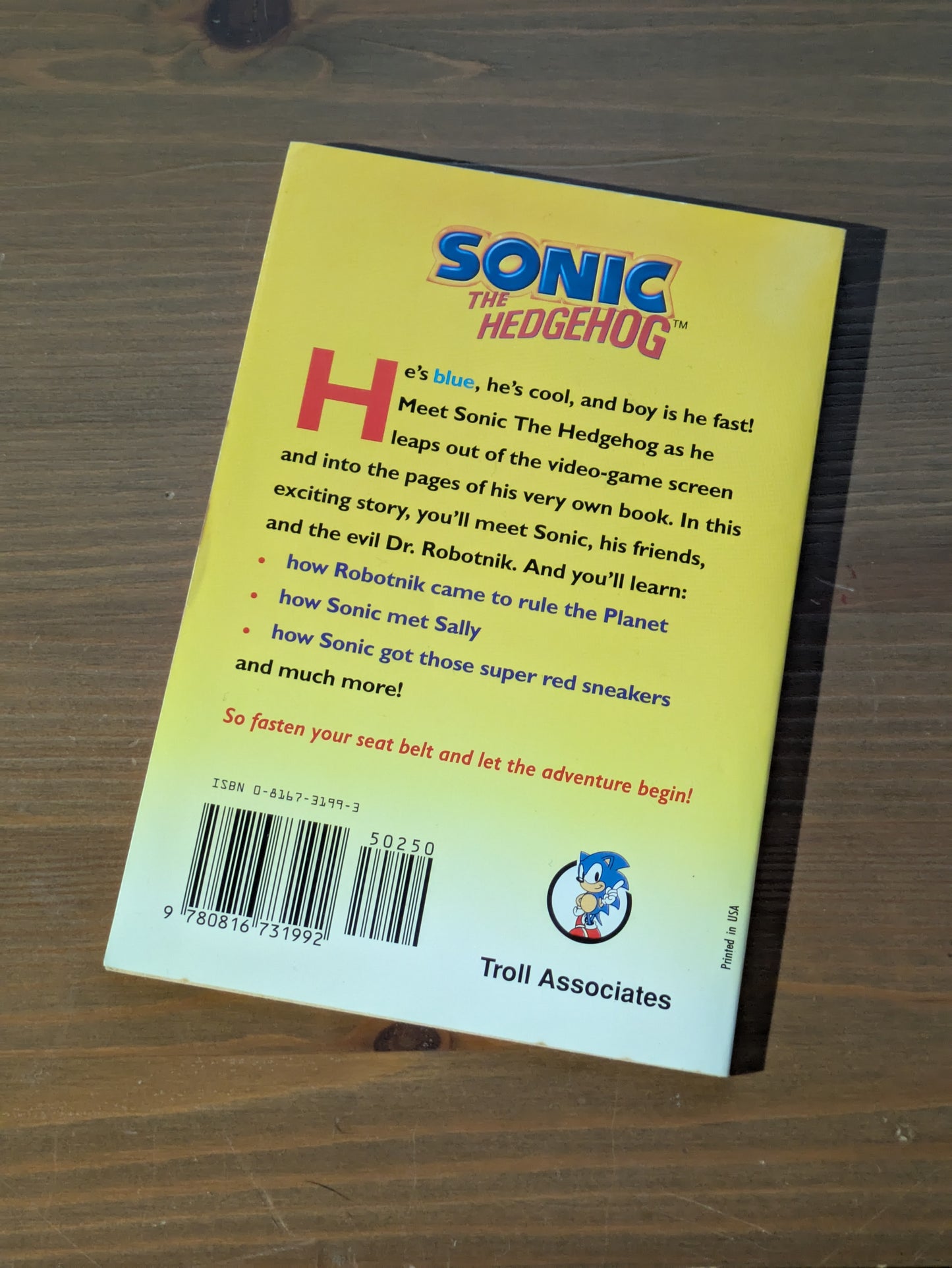 Sonic the Hedgehog (Vintage Paperback) by Michael Teitelbaum