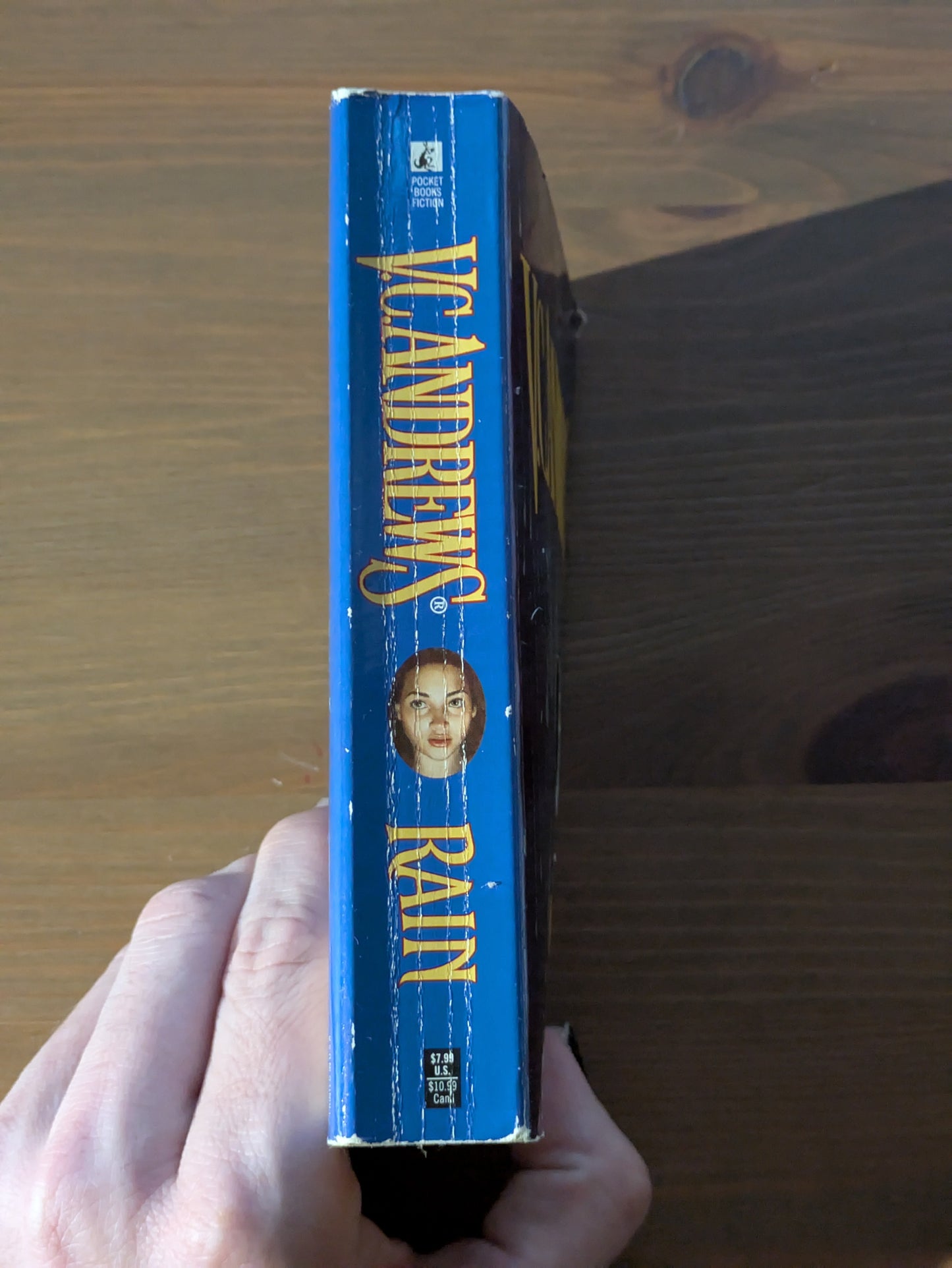 Rain (Hudson #1) by V.C. Andrews - Vintage Paperback