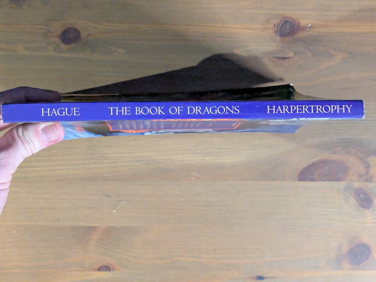 Book of Dragons, The (Vintage Paperback) Edited by Michael Hague