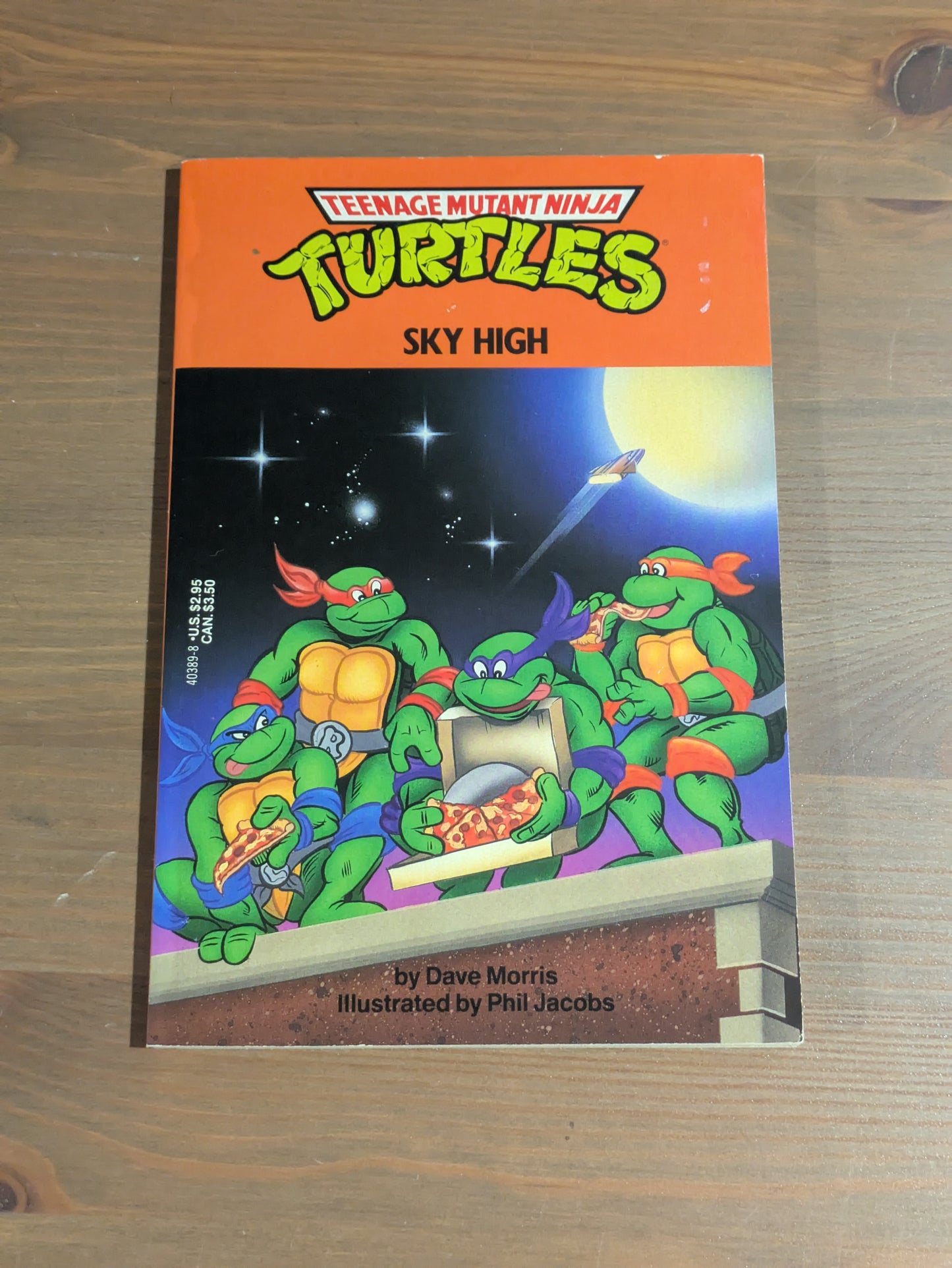 Sky High (Teenage Mutant Ninja Turtles) by Dave Morris - Vintage Paperback