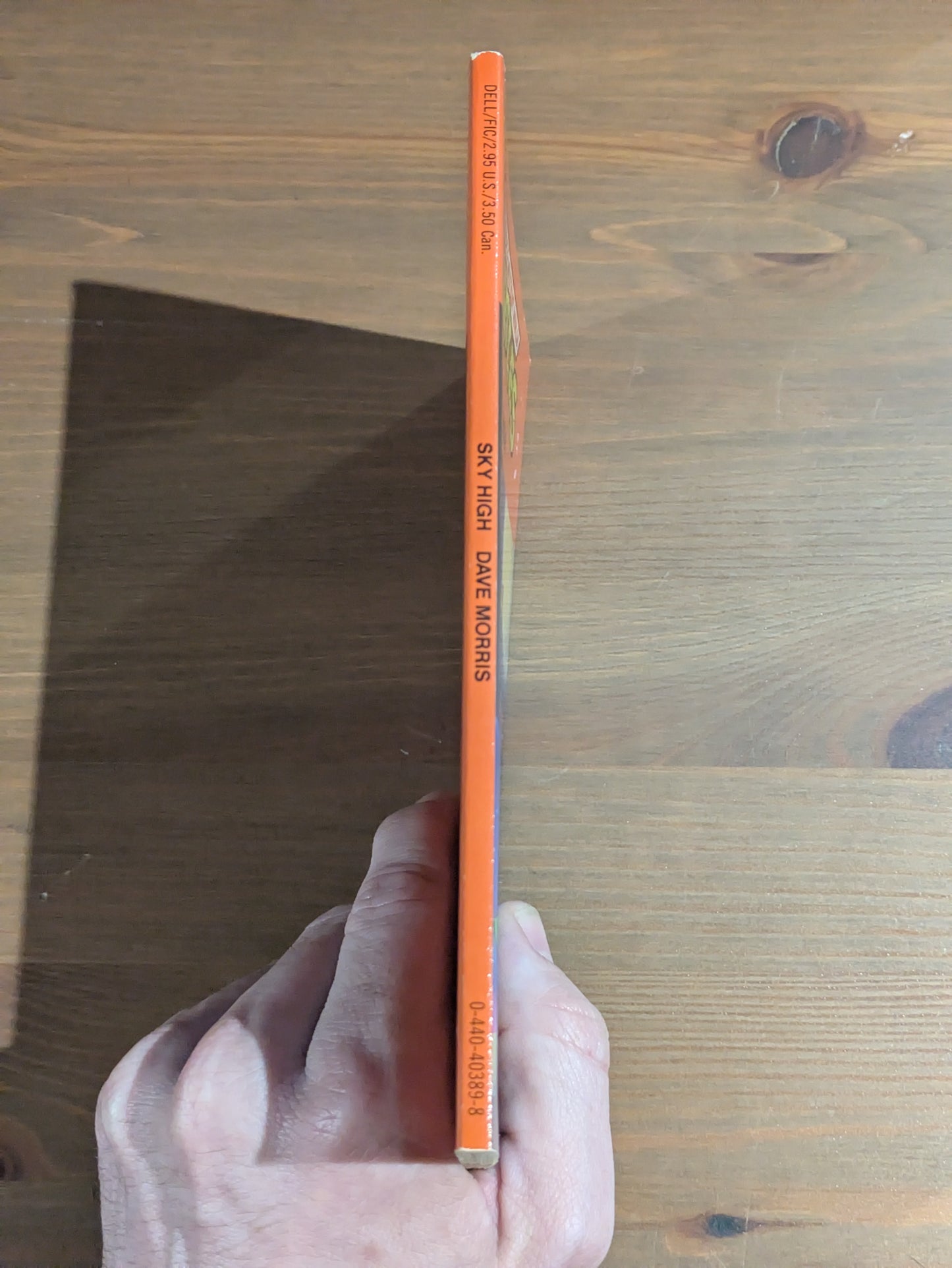 Sky High (Teenage Mutant Ninja Turtles) by Dave Morris - Vintage Paperback