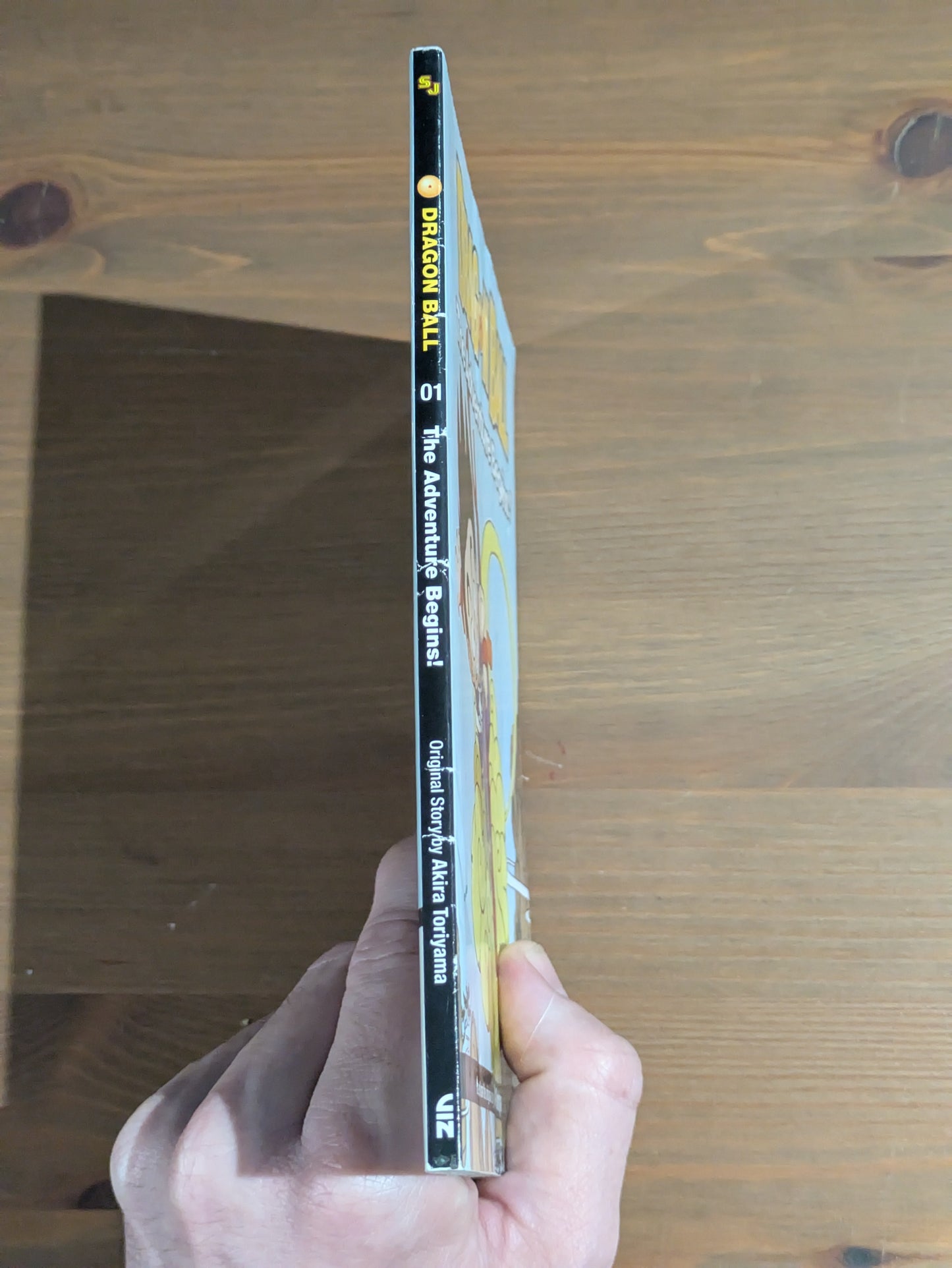 Adventure Begins!, The (Dragonball) by Gerard Jones