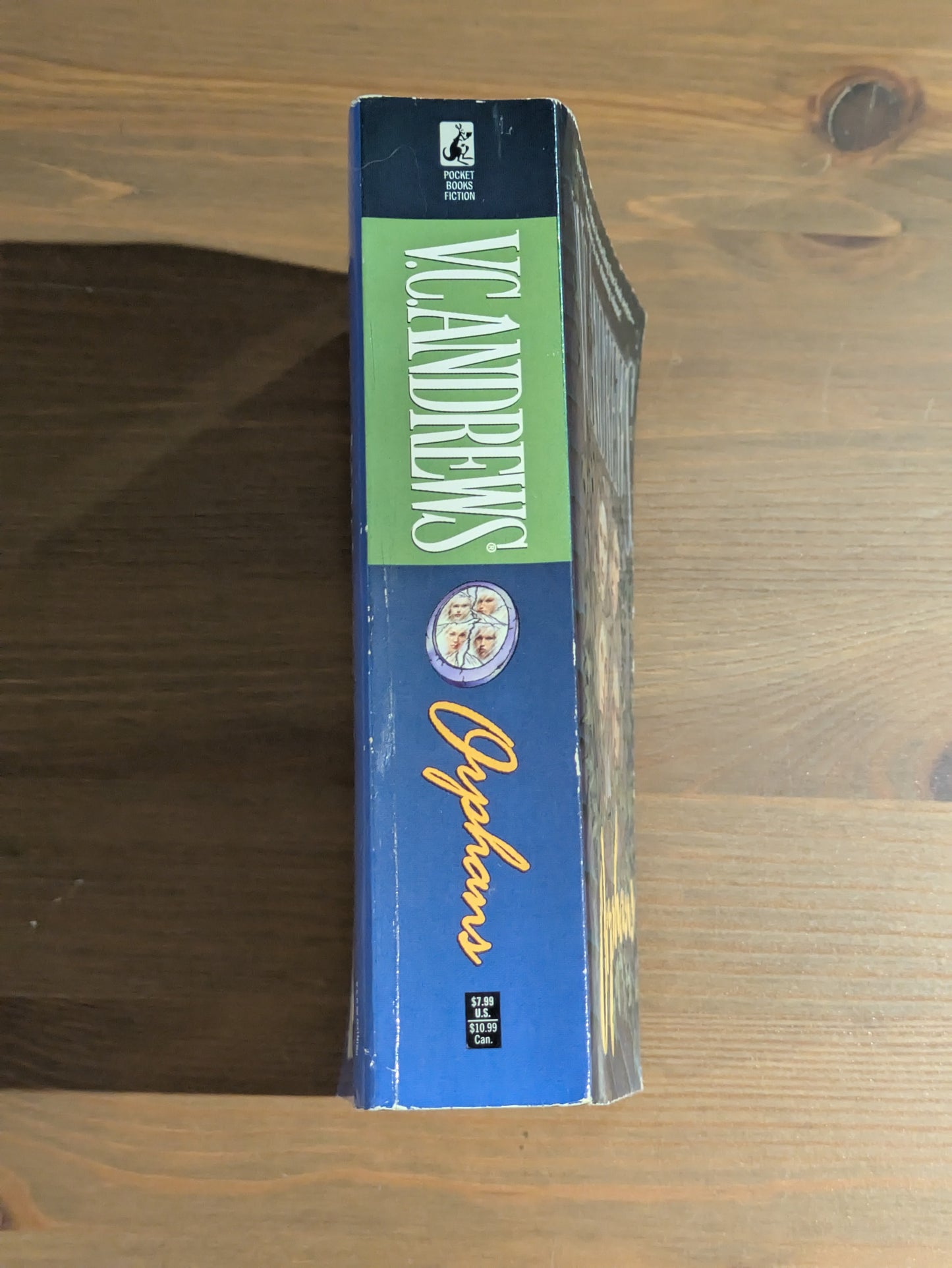 Orphans (Paperback) by V.C. Andrews