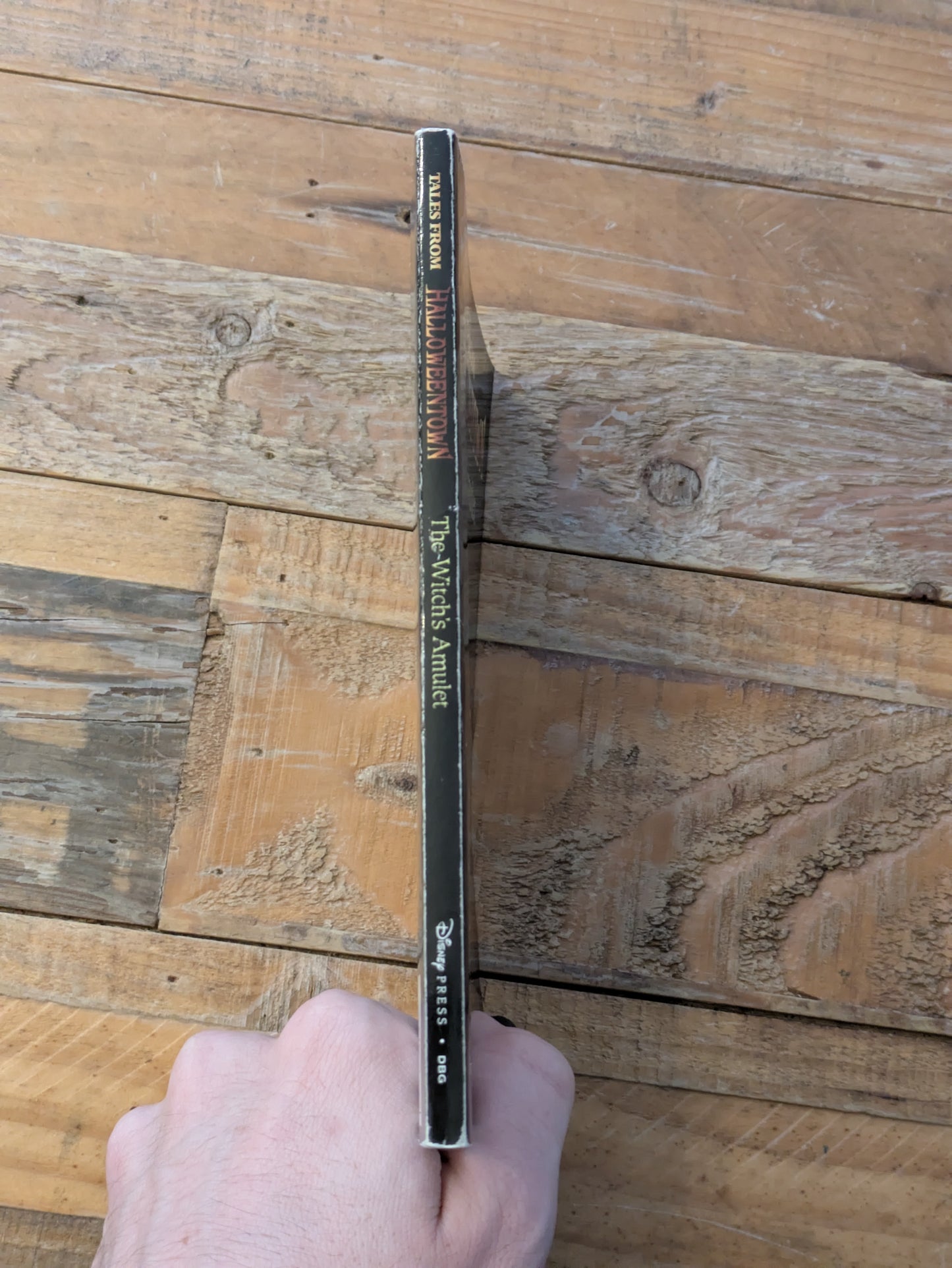 Witch's Amulet, The (Tales from Halloweentown) by Lucy Riggles