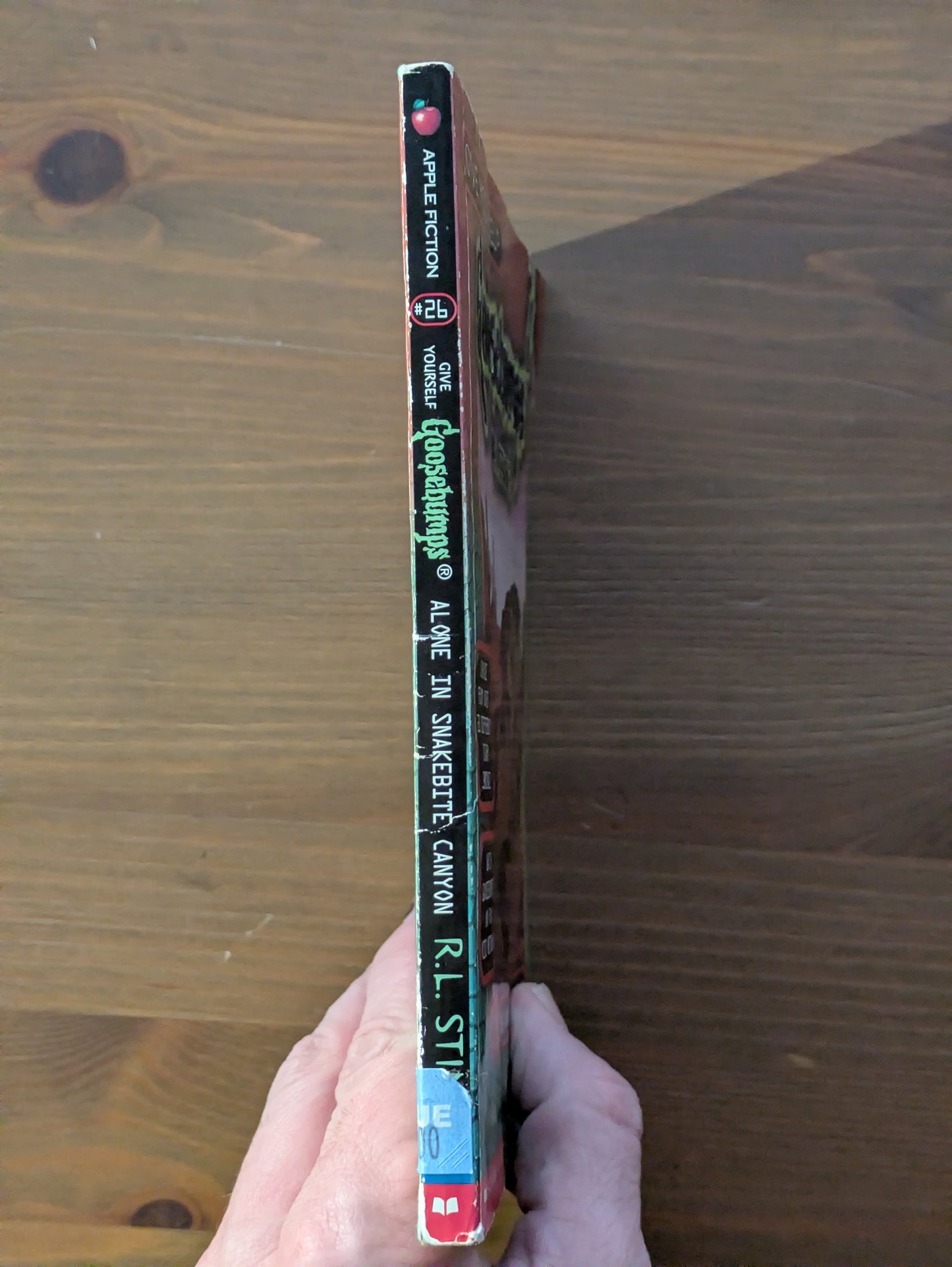 Alone in Snakebite Canyon (Give Yourself Goosebumps #26) by R.L. Stine - Vintage Paperback