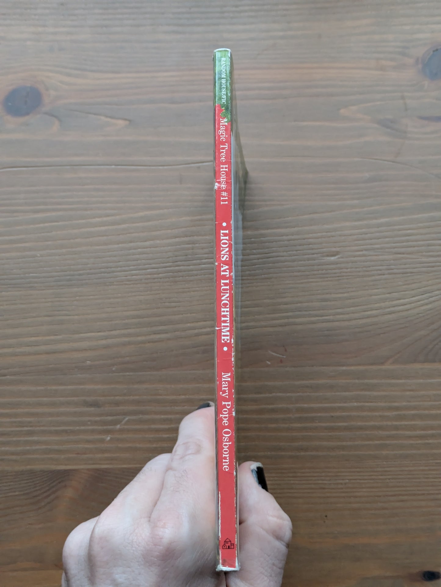 Lions at Lunchtime (Magic Tree House #11) by Mary Pope Osborne