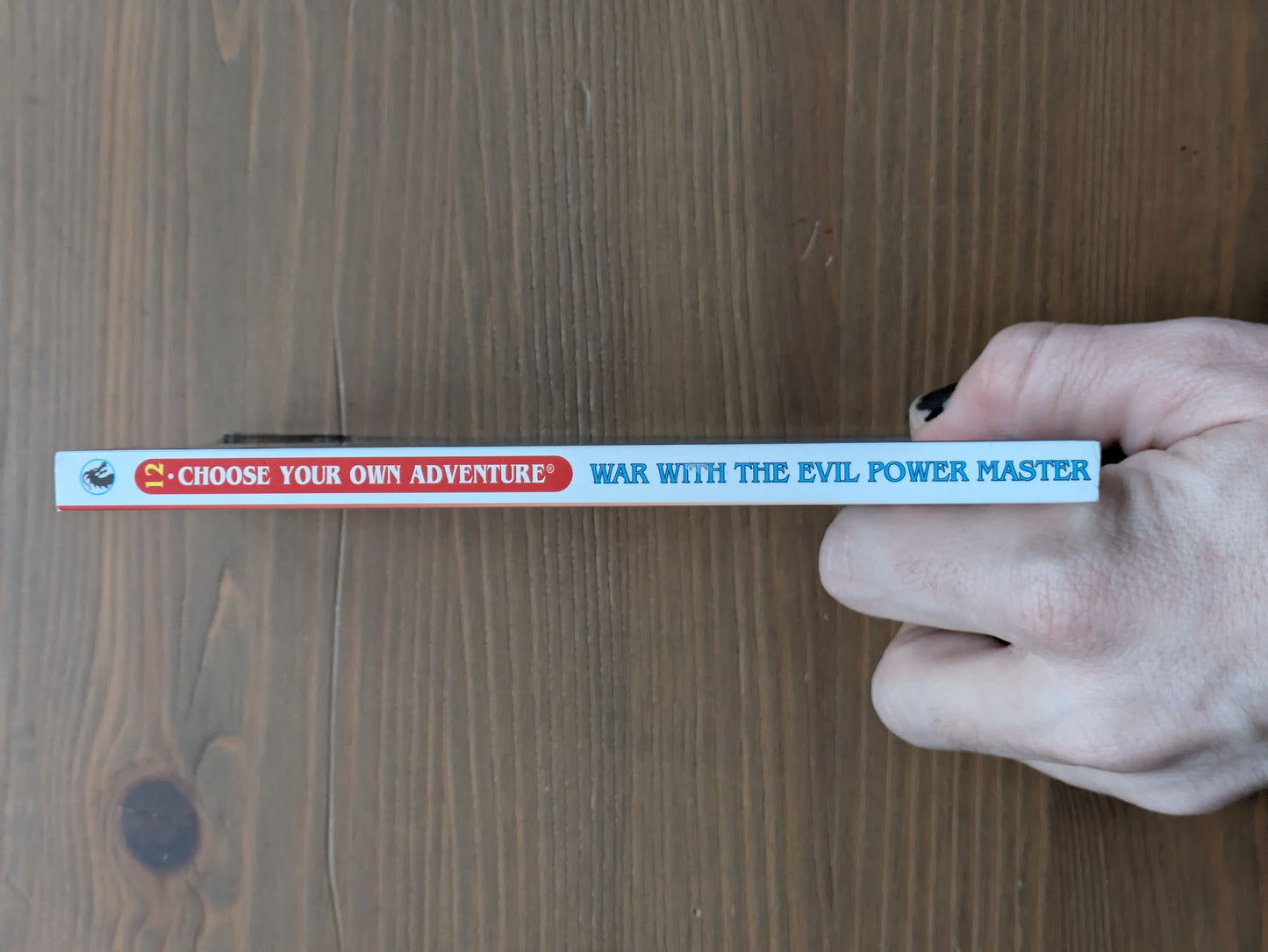 War with the Evil Power Master (Choose Your Own Adventure #12) by R.A. Montgomery