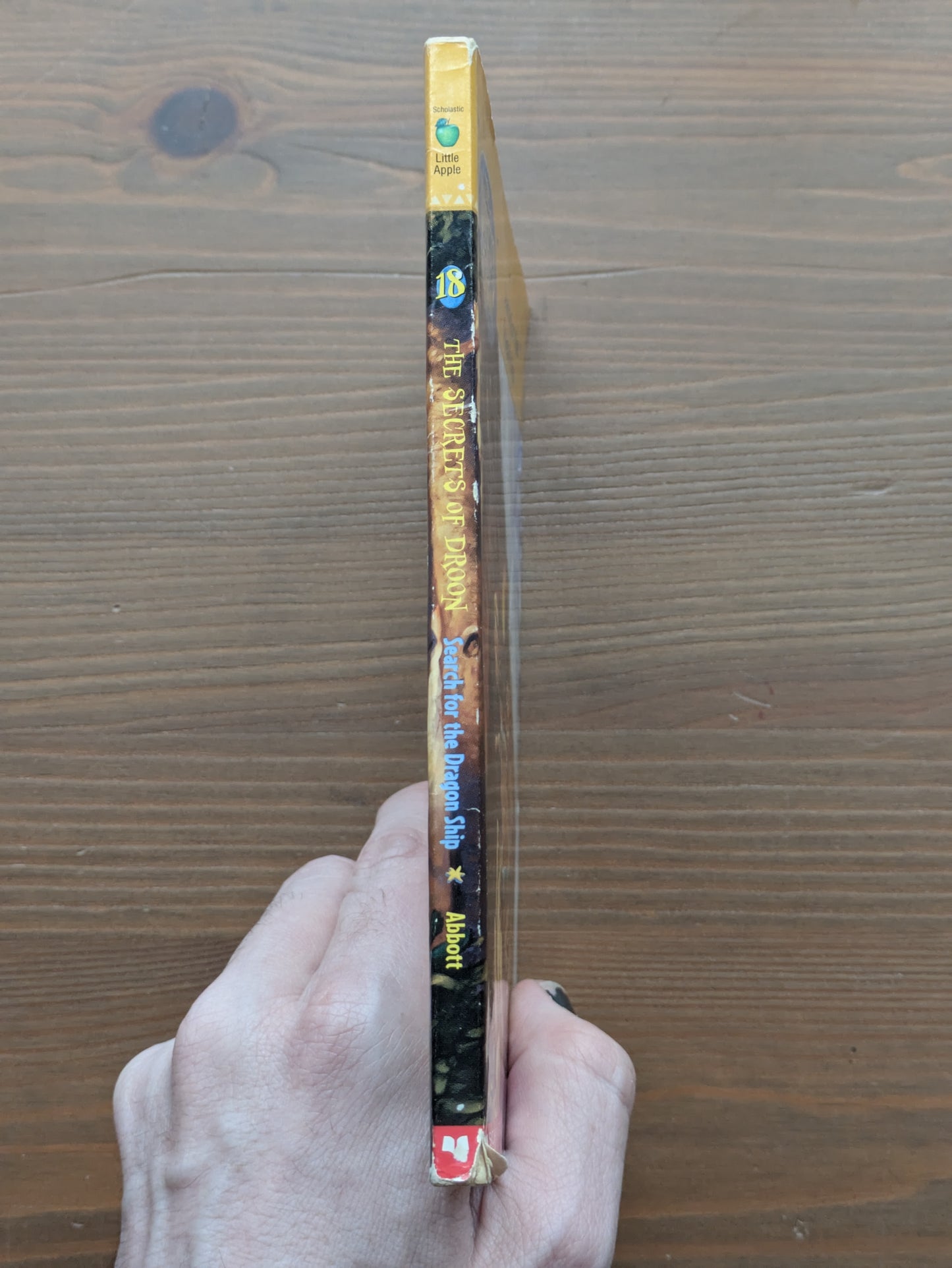 Search for the Dragon Ship (The Secrets Of Droon #18) by Tony Abbott