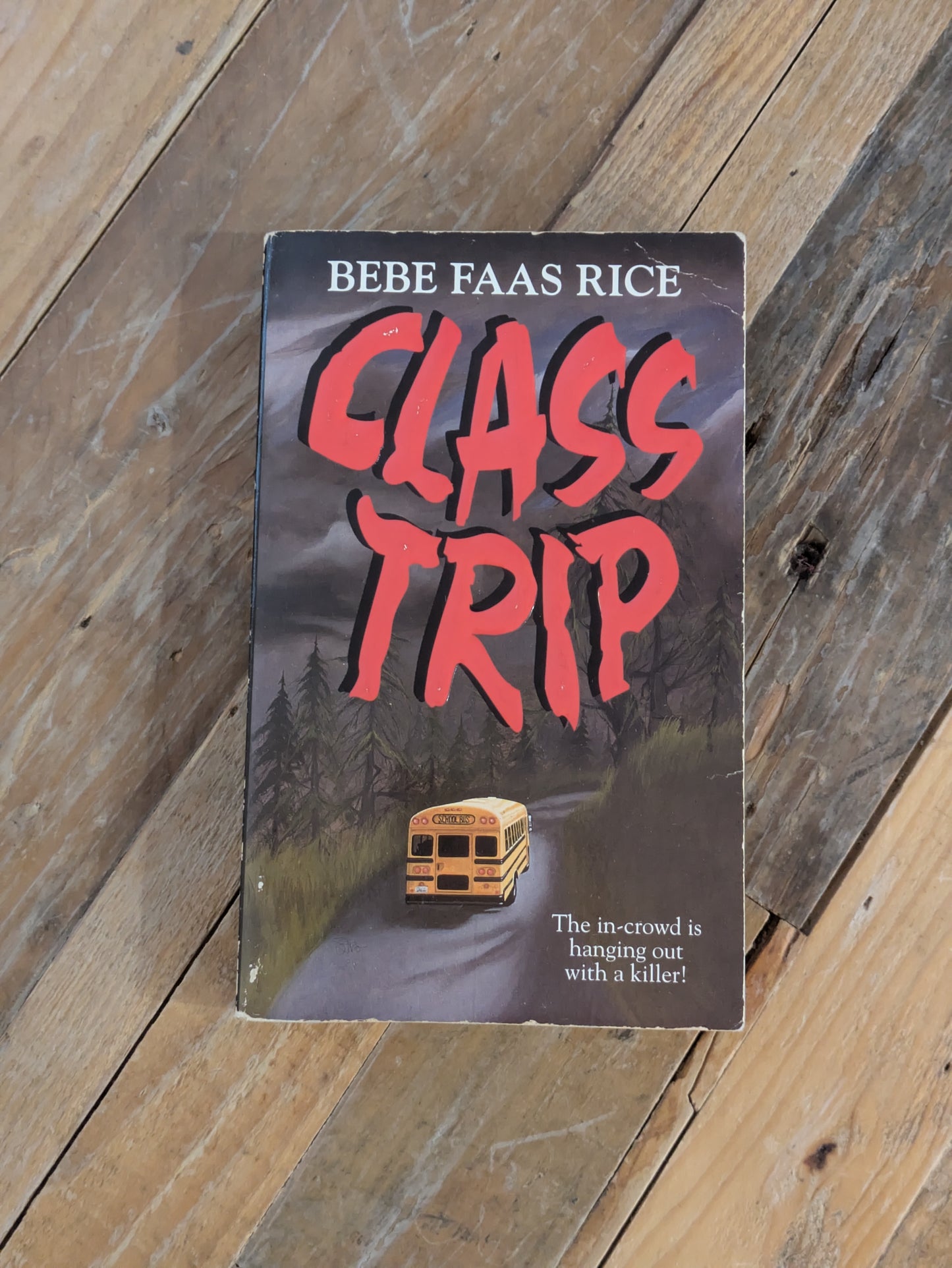 Class Trip (Vintage Paperback) by Bebe Faas Rice