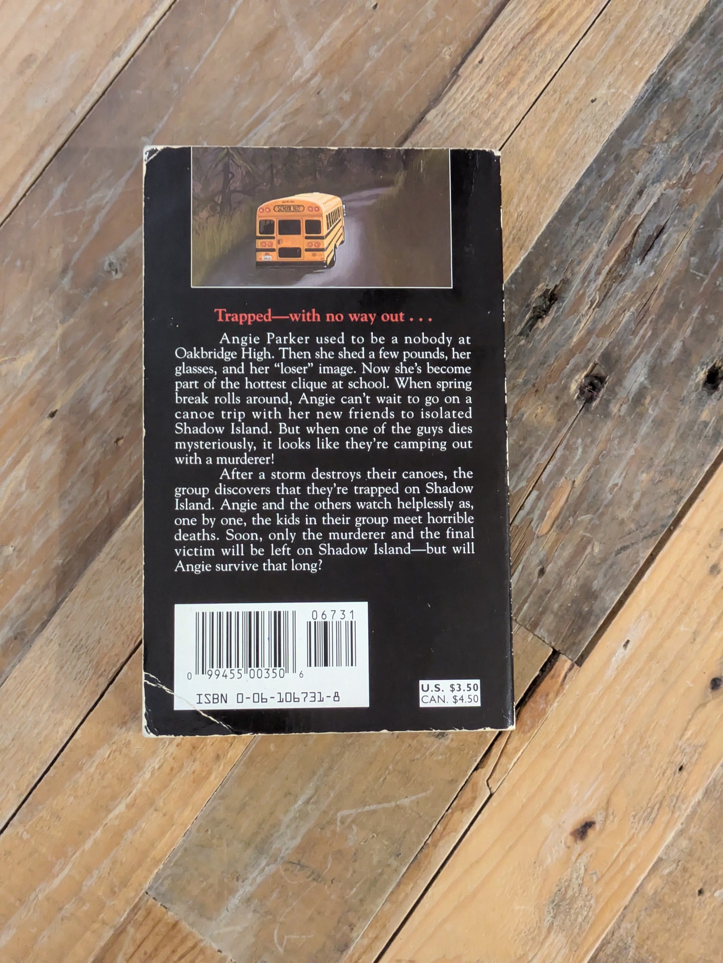 Class Trip (Vintage Paperback) by Bebe Faas Rice