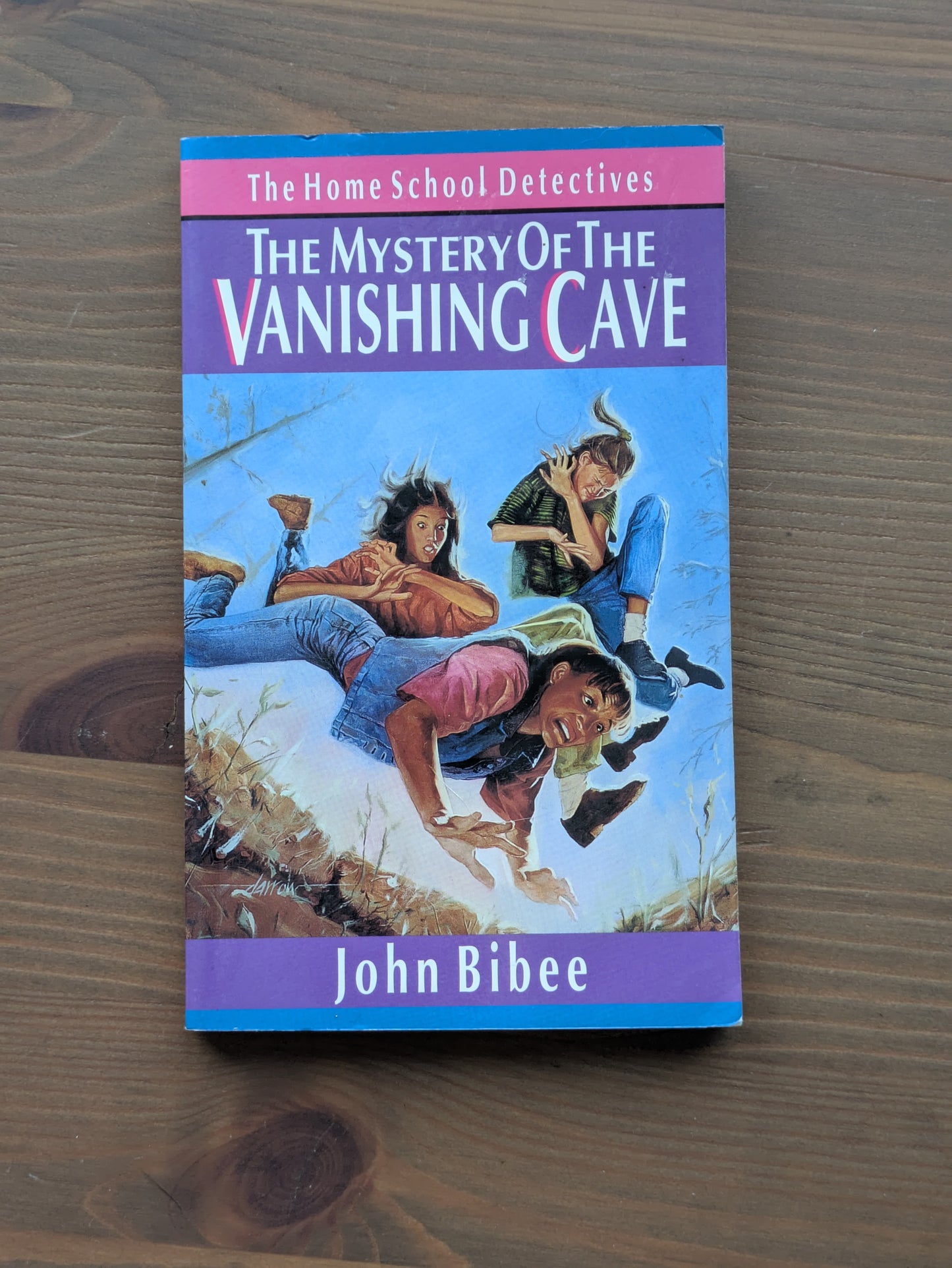 Mystery of the Vanishing Cave, The (Homeschool Detectives #5) by John Bibee - Vintage Paperback