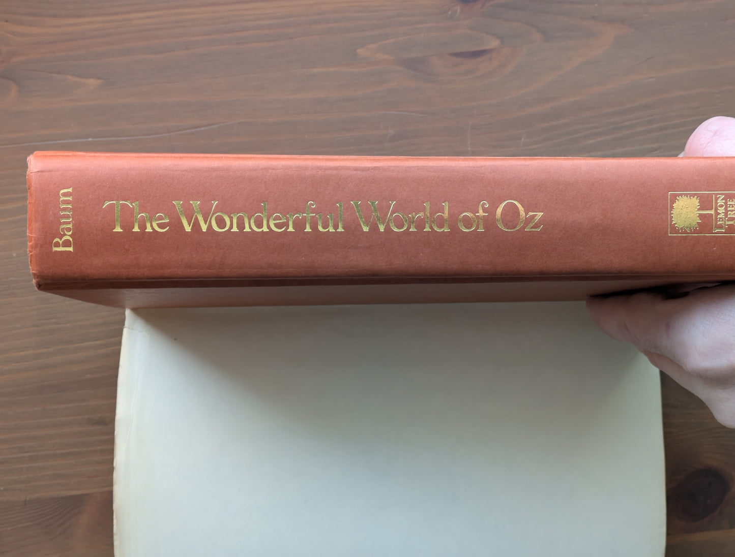 Wonderful World of Oz, The (Wizard of Oz/Land of Oz) by L. Frank Baum - Rare Vintage Hardcover