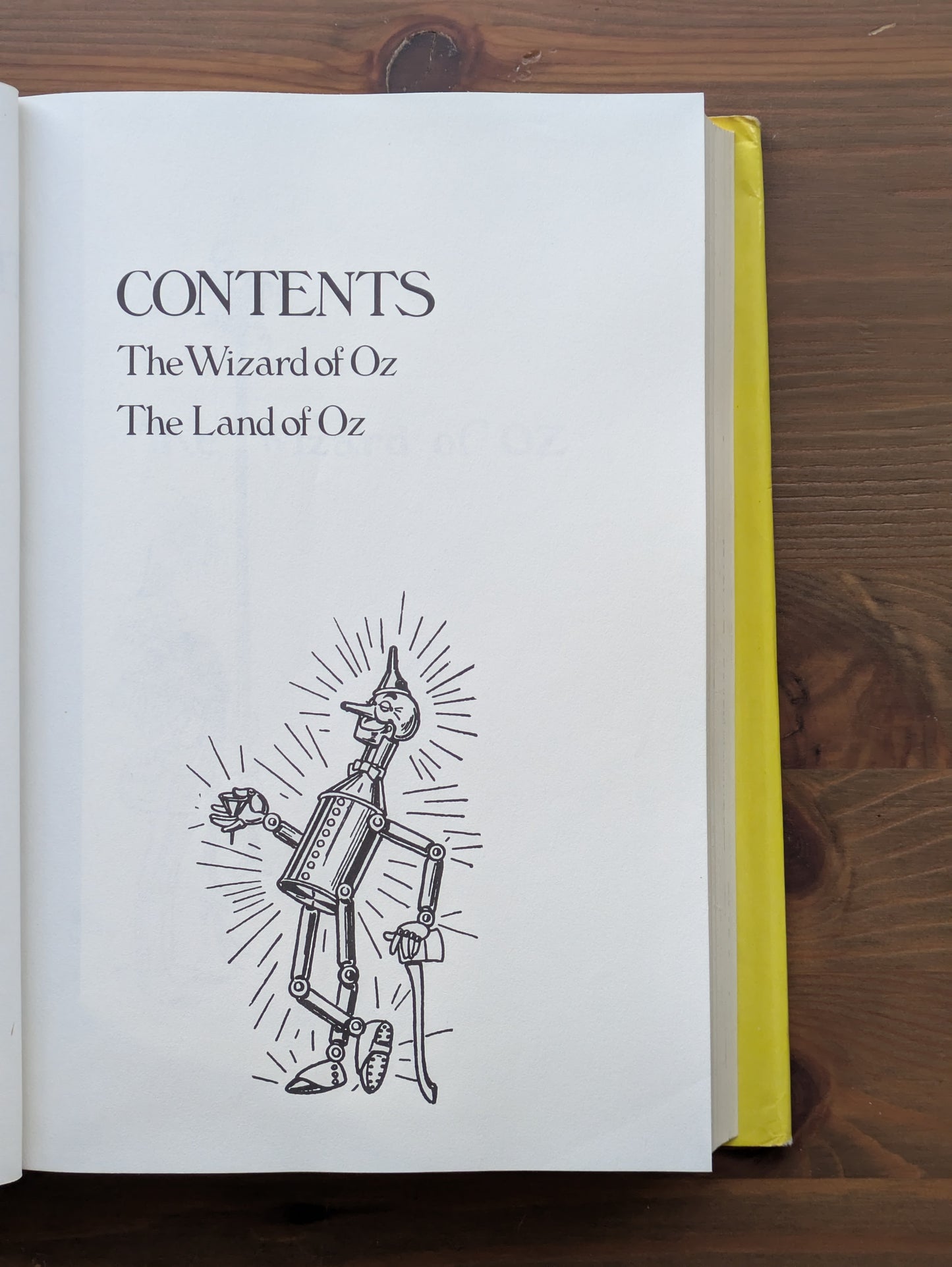 Wonderful World of Oz, The (Wizard of Oz/Land of Oz) by L. Frank Baum - Rare Vintage Hardcover