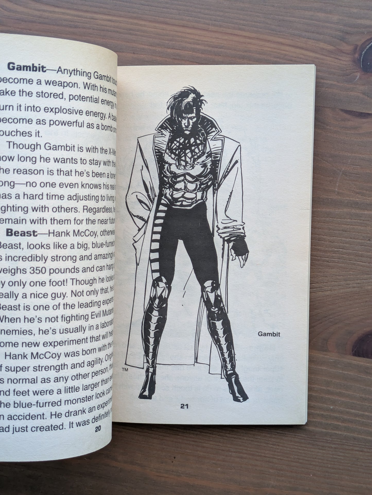 Marvel X-Men Guidebook, The (Vintage Paperback) by Dwight Jon Zimmerman