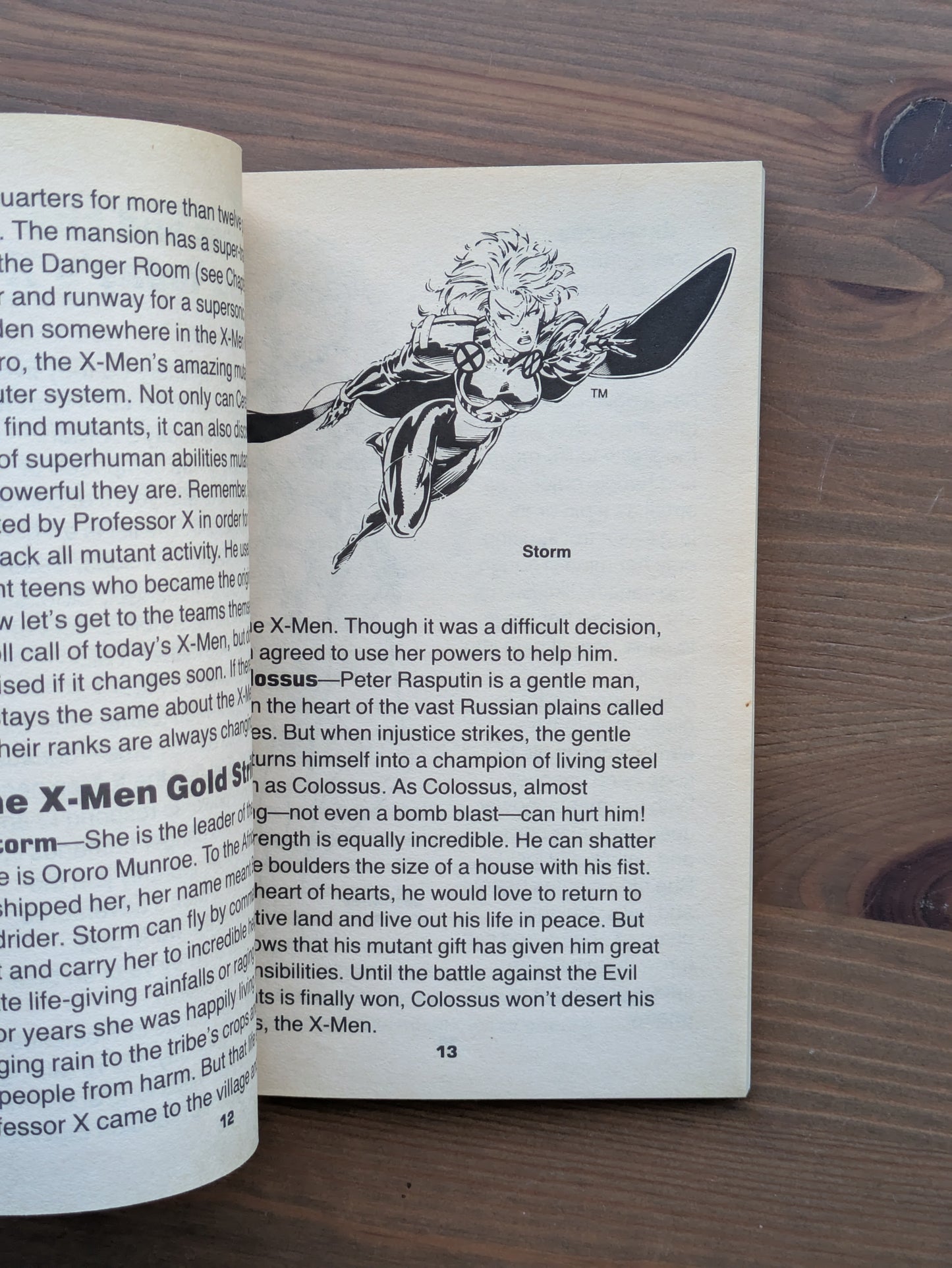 Marvel X-Men Guidebook, The (Vintage Paperback) by Dwight Jon Zimmerman