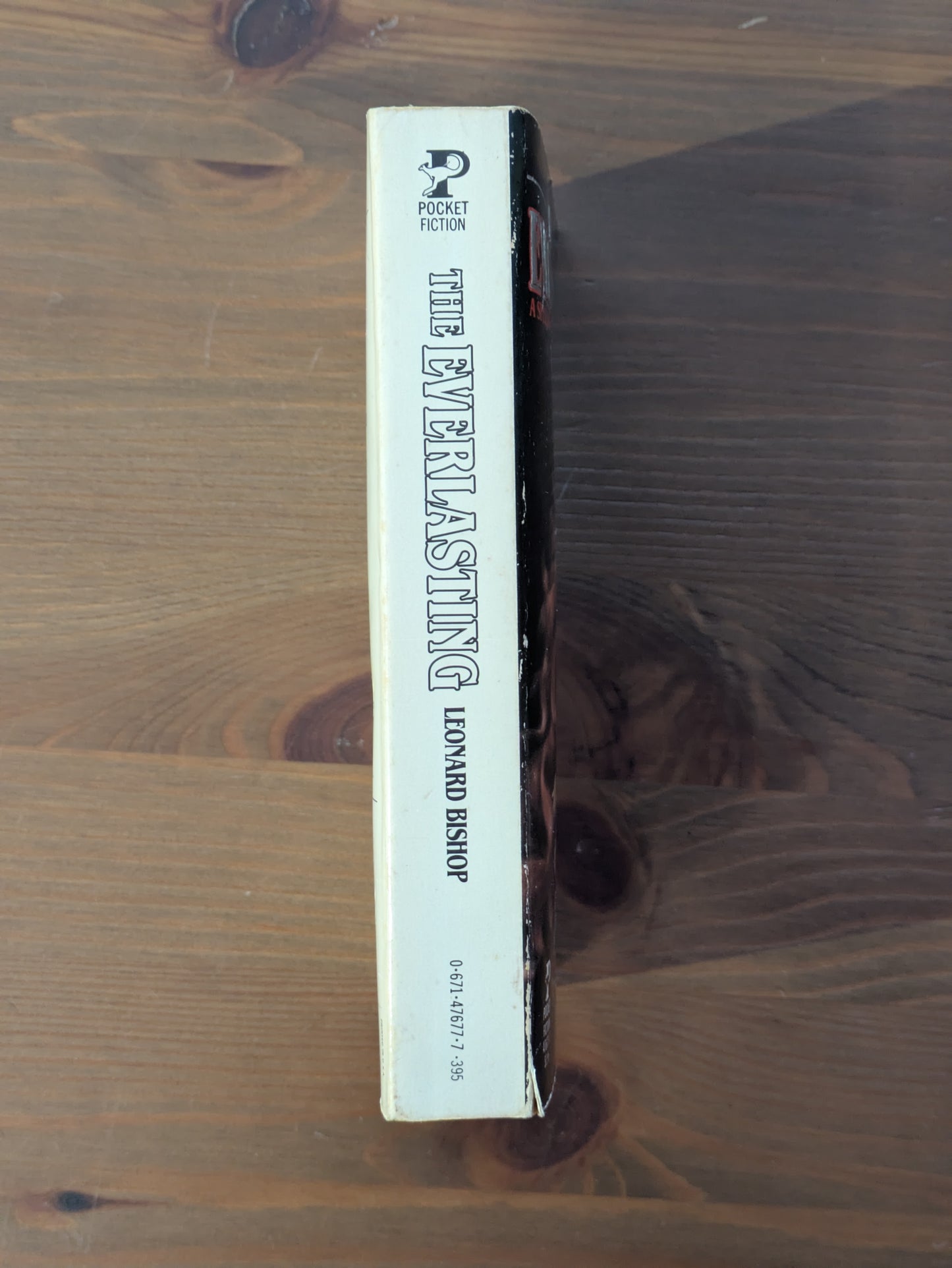 Everlasting, The (Vintage Paperback) by Leonard Bishop