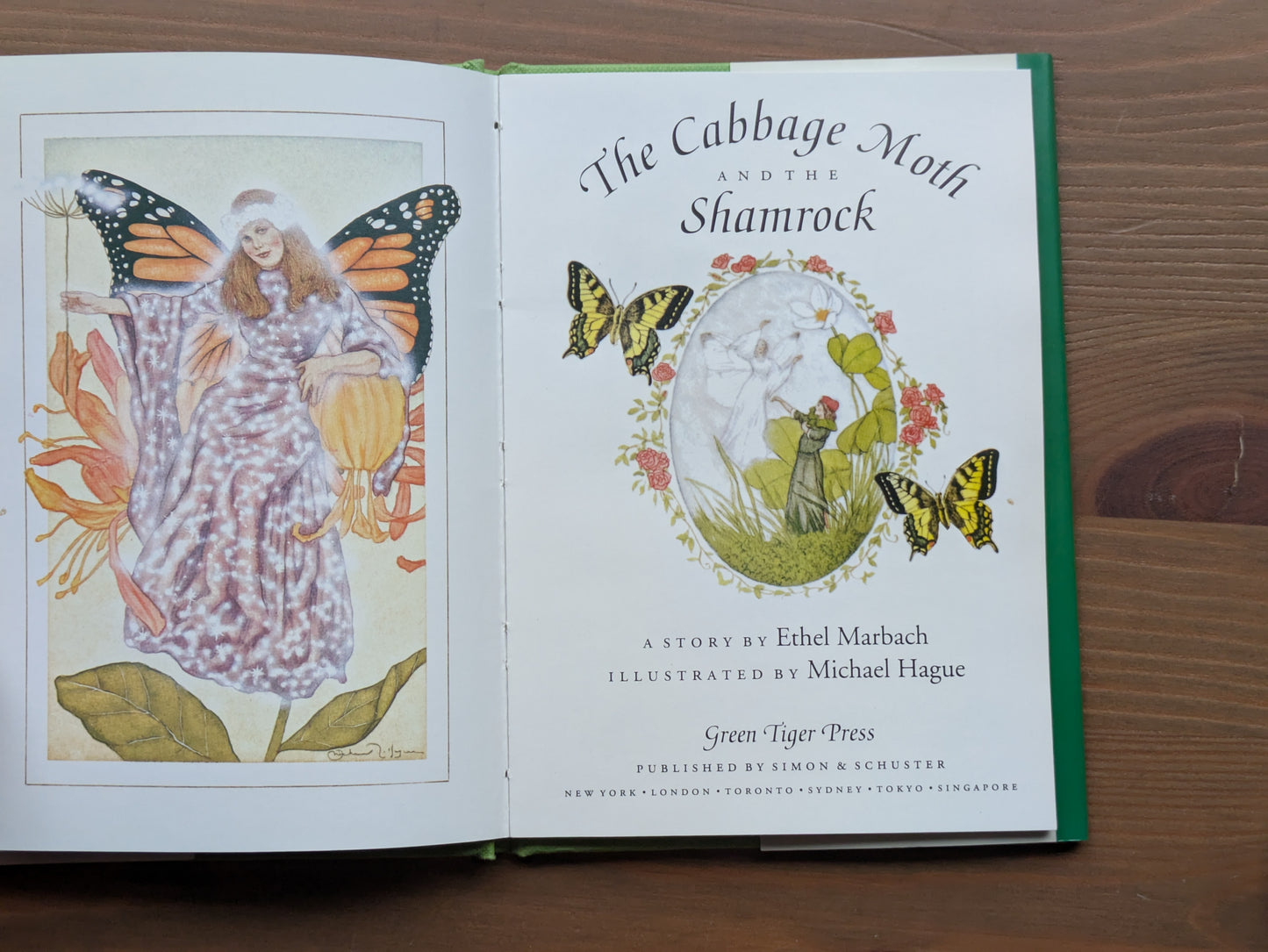 Cabbage Moth and the Shamrock, The (Hardcover) by Ethel Marbach, Michael Hague (Illustrator)