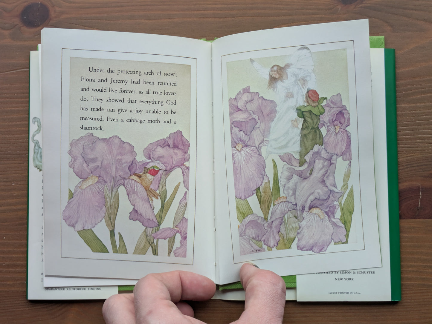 Cabbage Moth and the Shamrock, The (Hardcover) by Ethel Marbach, Michael Hague (Illustrator)