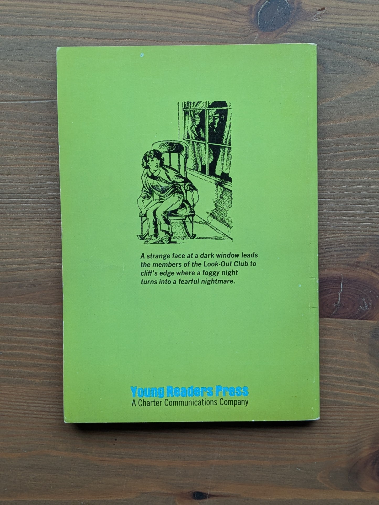 Mystery at the Weird Ruins, The (Vintage Paperback) by Christine Noble Govan
